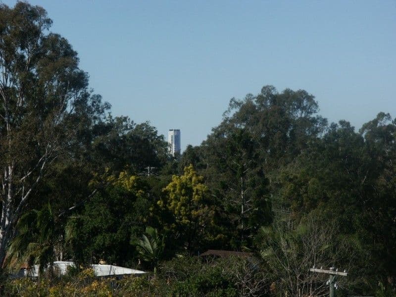 12 Hibiscus Street, EVERTON HILLS QLD 4053, Everton Hills - Thumbnail 8