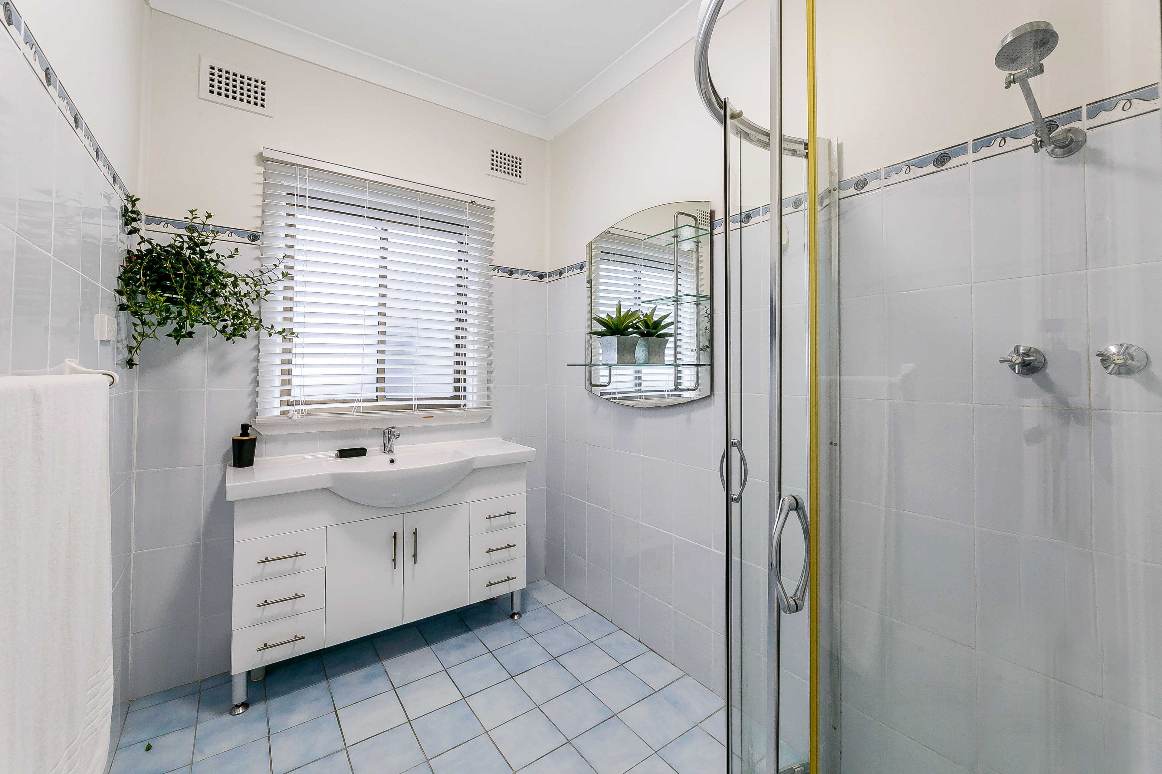 12 Burrows Avenue, Chester Hill NSW 2162, Chester Hill - Thumbnail 6