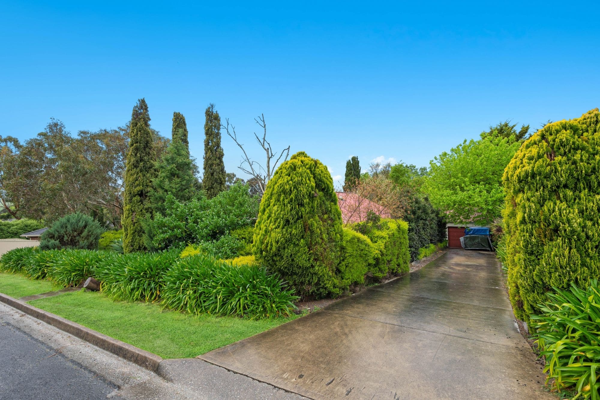 37 Jeffrey Street, Nairne SA 5252, Nairne - Thumbnail 2