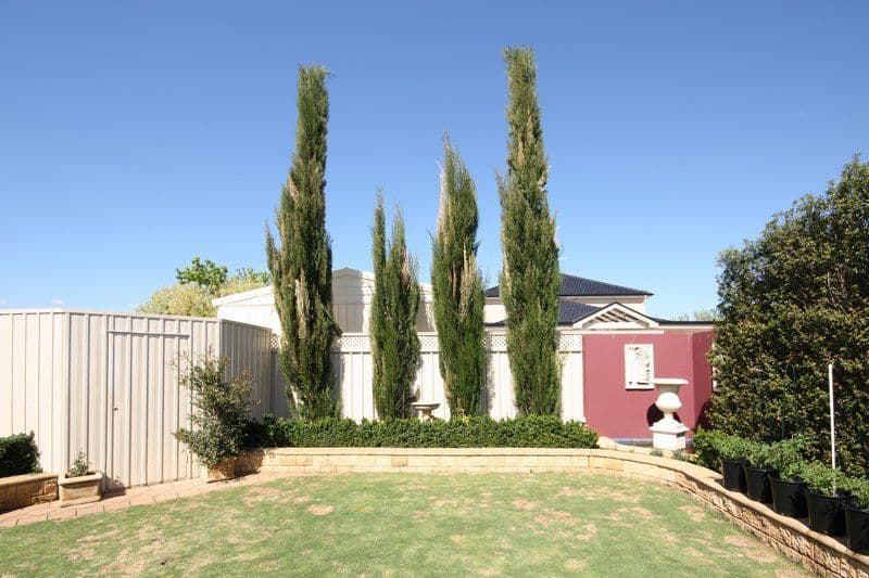 23 Torres Avenue, FLINDERS PARK SA 5025, Flinders Park - Thumbnail 4