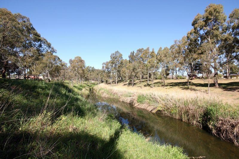 23 Torres Avenue, FLINDERS PARK SA 5025, Flinders Park - Thumbnail 7