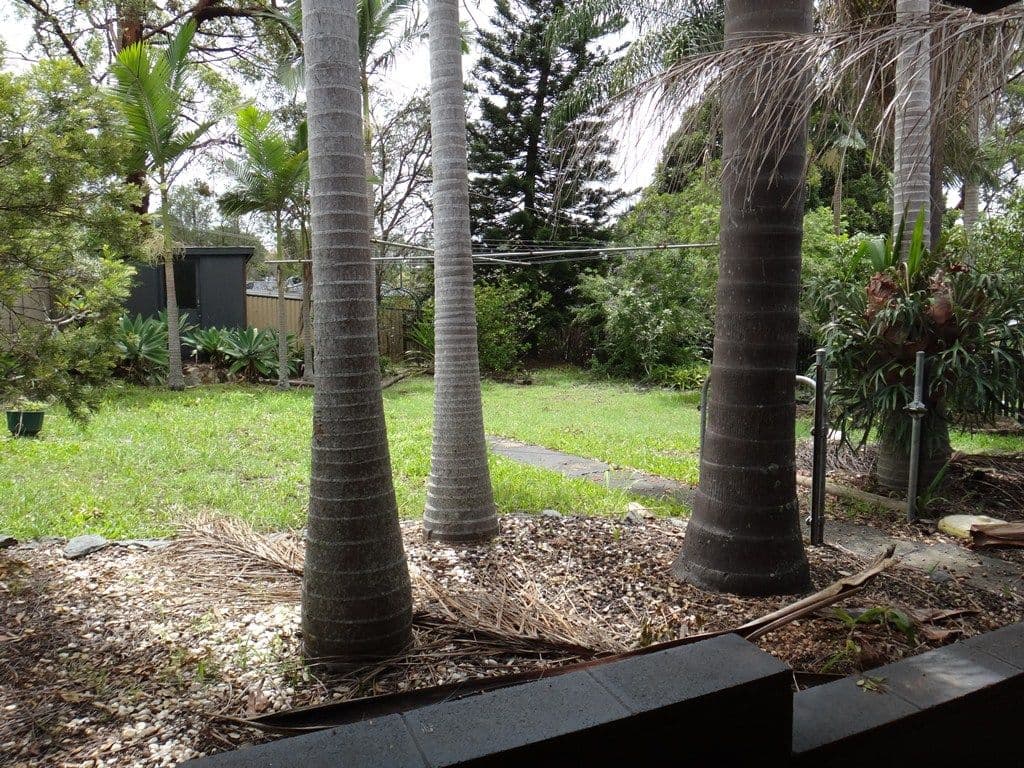 72 Camelia Avenue, Everton Hills QLD 4053, Everton Hills - Thumbnail 8