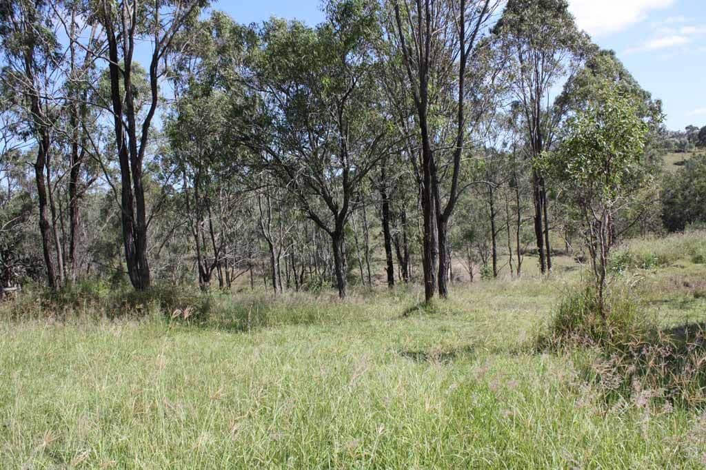 32-34 Wyndham Place, KOORALBYN QLD 4285, Kooralbyn - Thumbnail 2