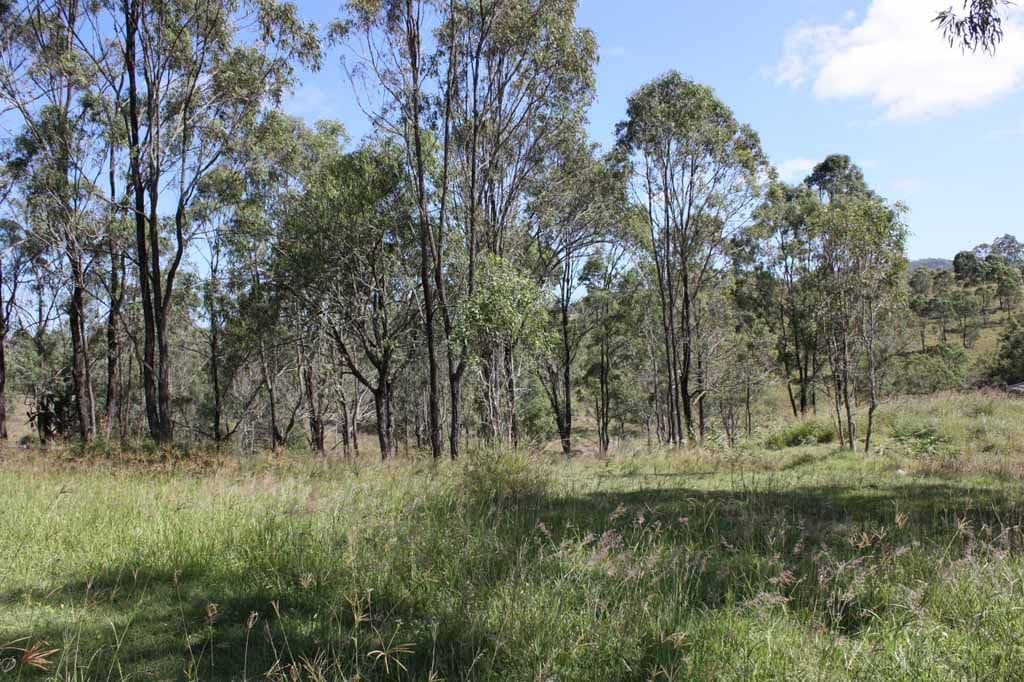32-34 Wyndham Place, KOORALBYN QLD 4285, Kooralbyn - Thumbnail 3