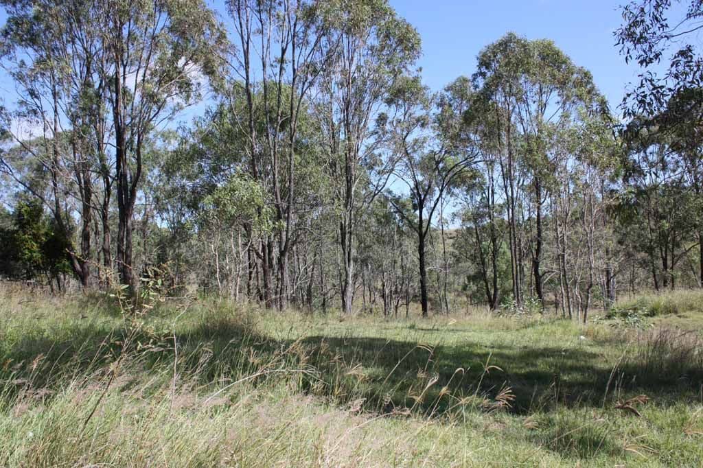 32-34 Wyndham Place, KOORALBYN QLD 4285, Kooralbyn - Thumbnail 4