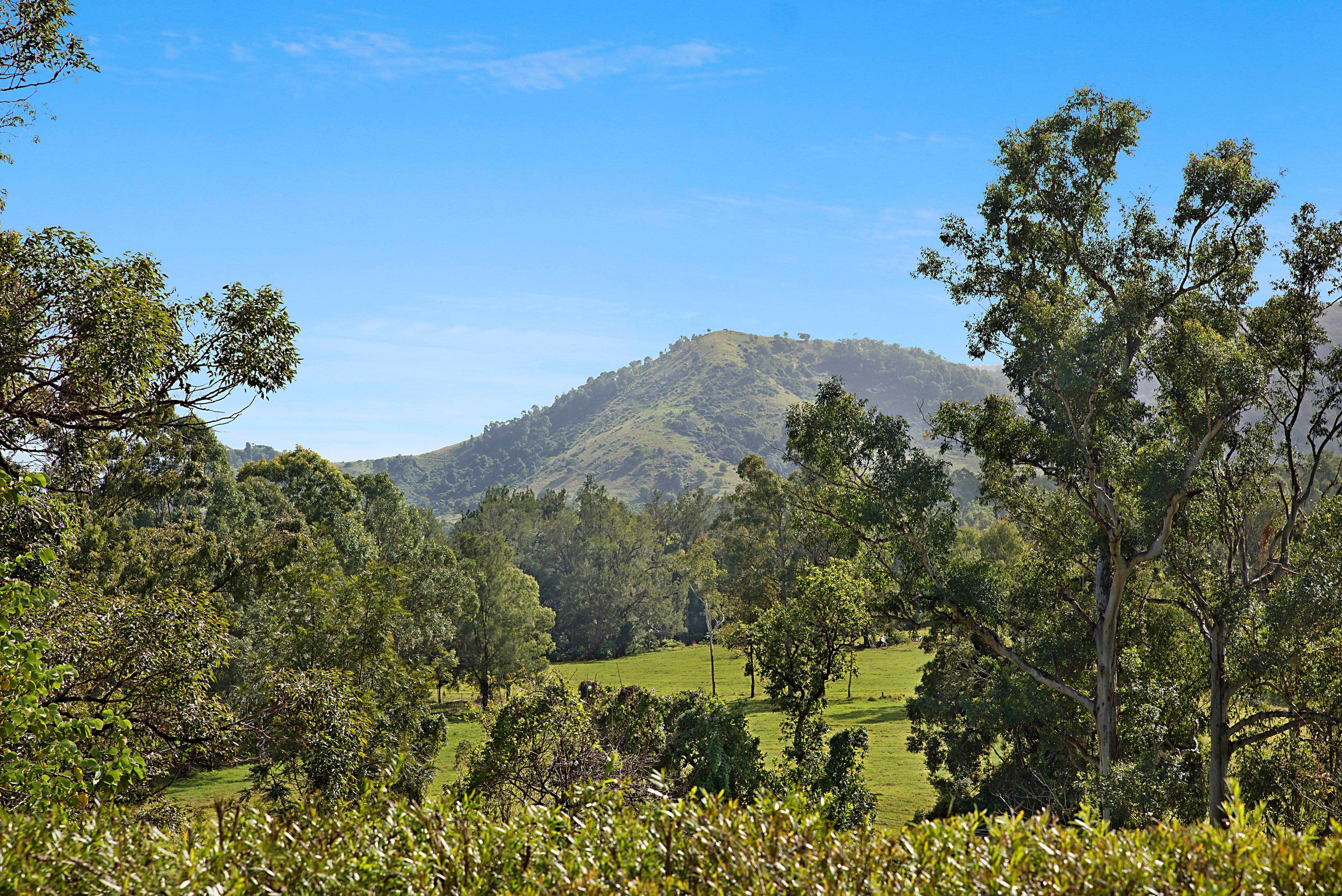 1671 Maleny Kenilworth Road, Conondale QLD 4552, Conondale - Thumbnail 2