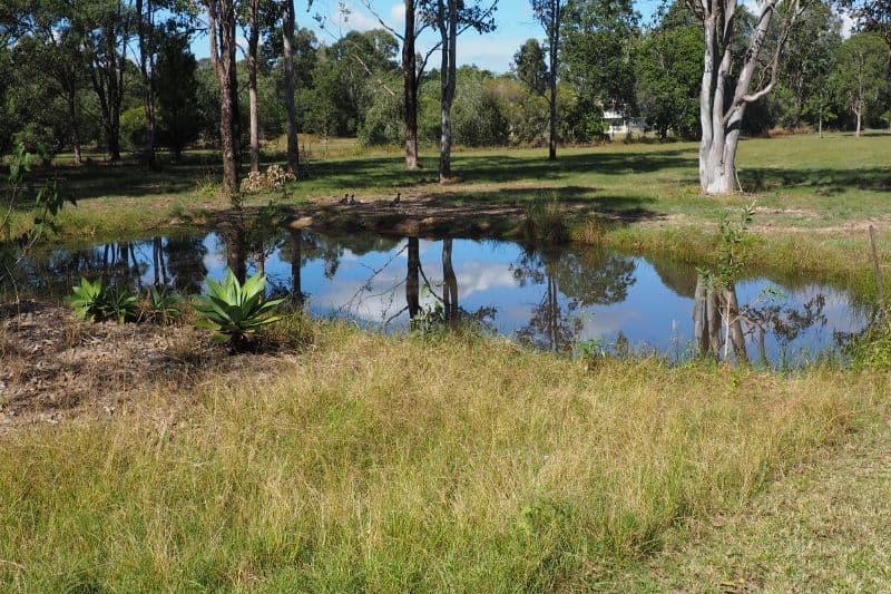 108 Dunford Road East, Grahams Creek QLD 4650, Grahams Creek - Thumbnail 2