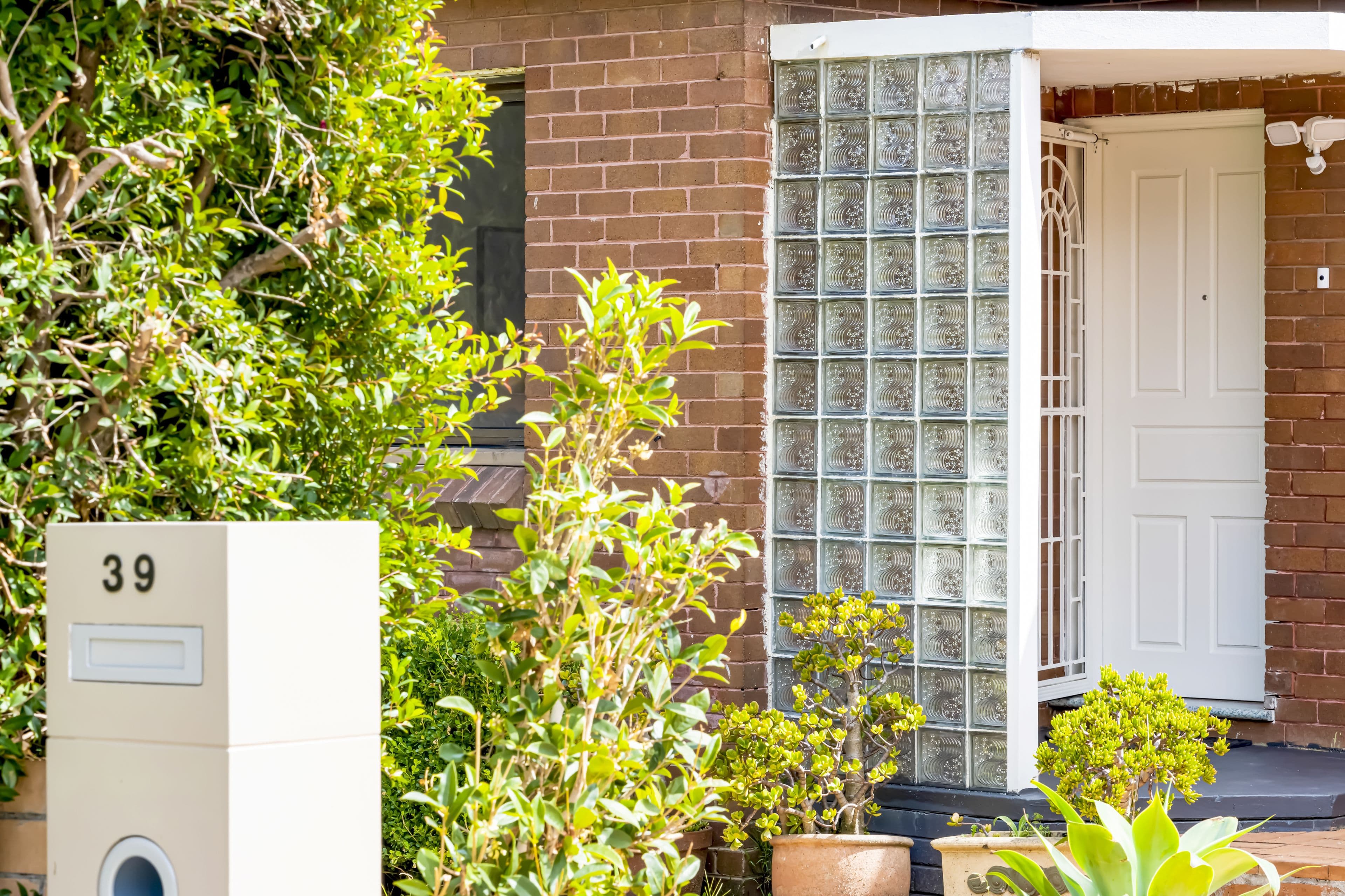 39 Napoleon Street, Riverwood NSW 2210, Riverwood - Thumbnail 5