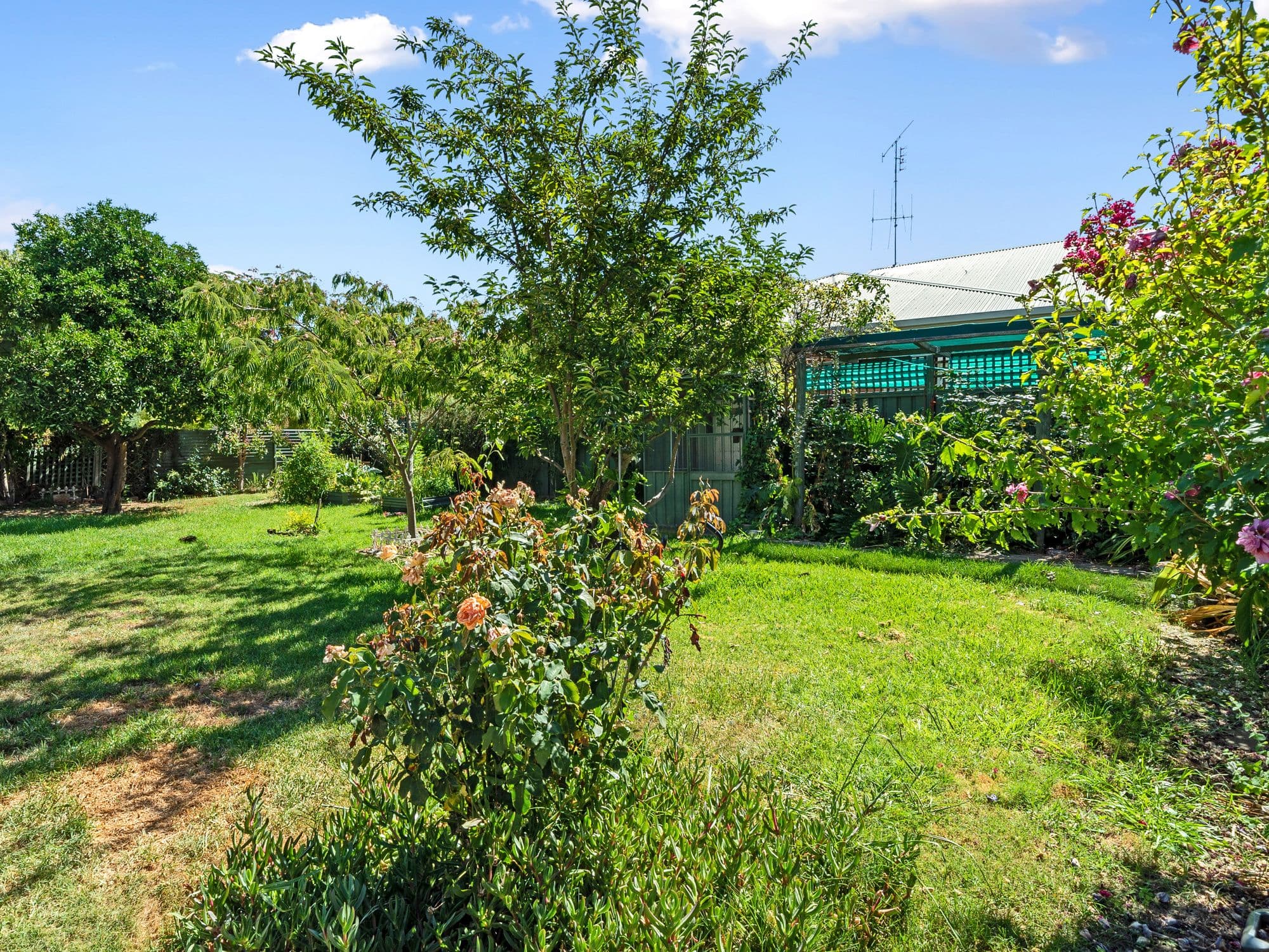 16 Melrose Street, Benalla VIC 3672, Benalla - Thumbnail 6
