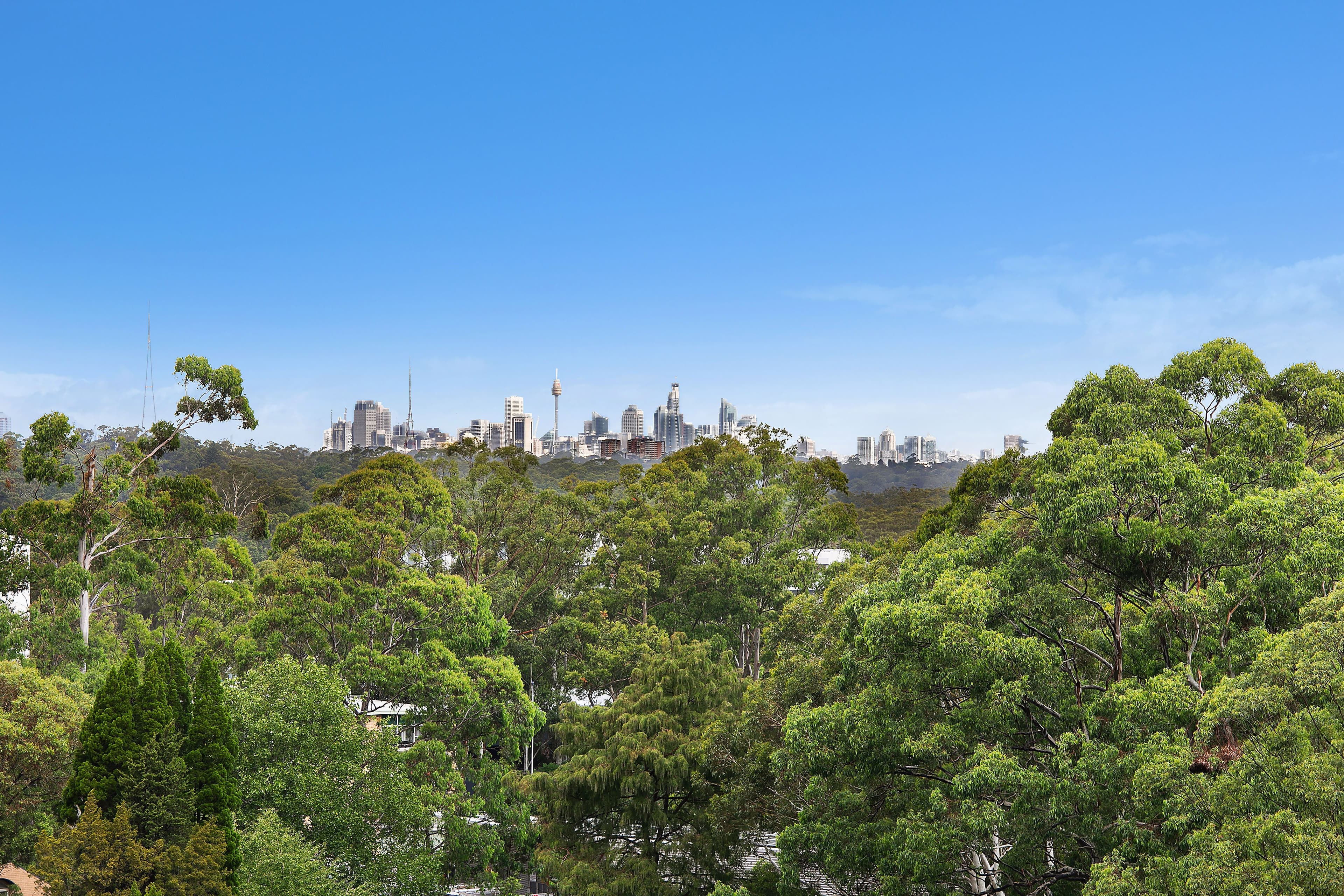 2 Livingstone Avenue, Pymble NSW 2073, Pymble - Thumbnail 7