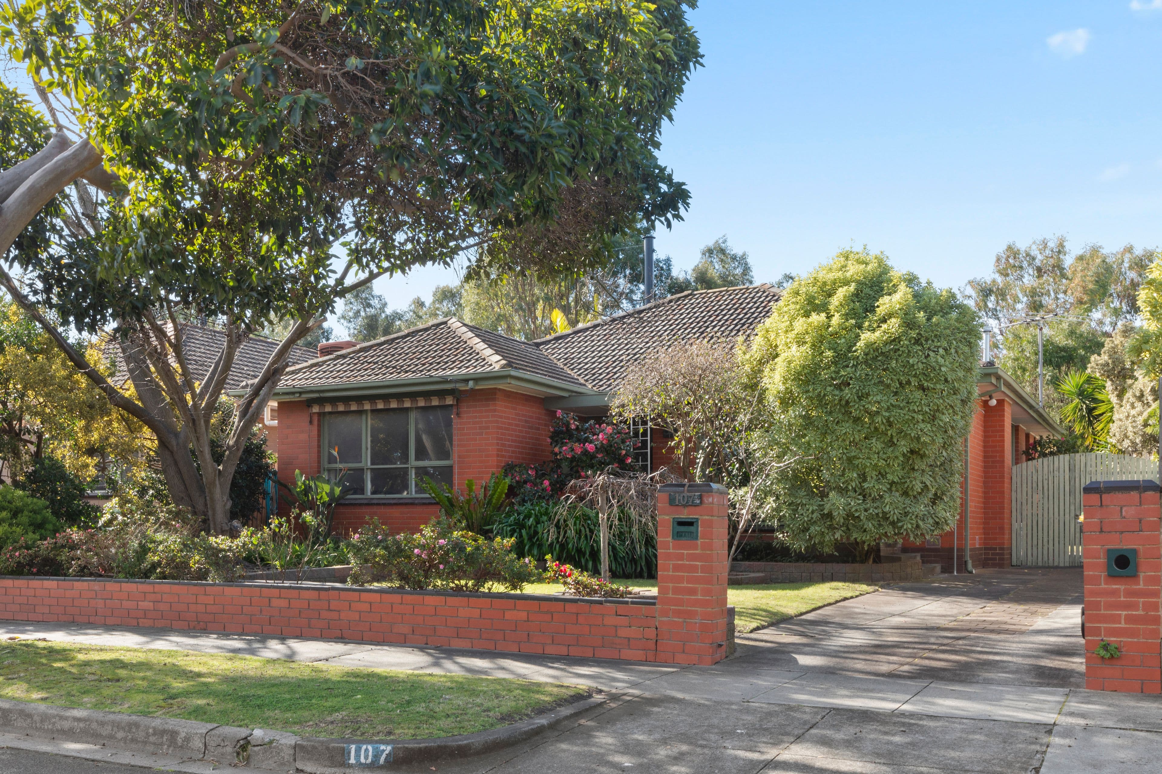 107 Beatrice Street, Cheltenham VIC 3192, Cheltenham - Image 1