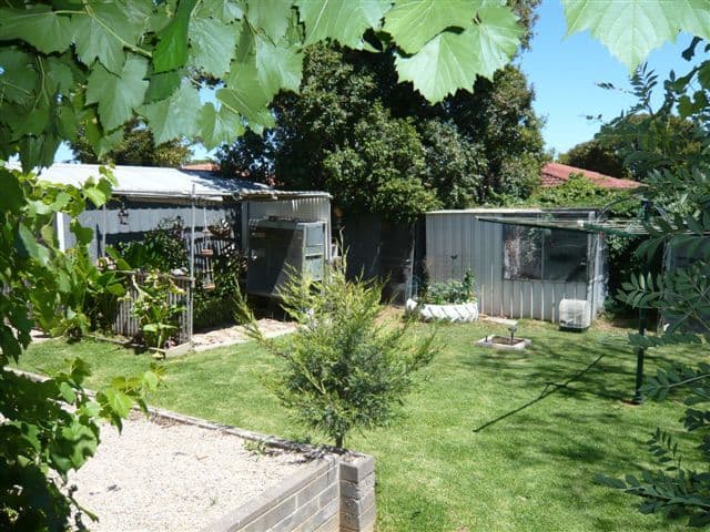 12 Tamala Court, GILLES PLAINS SA 5086, Gilles Plains - Thumbnail 8