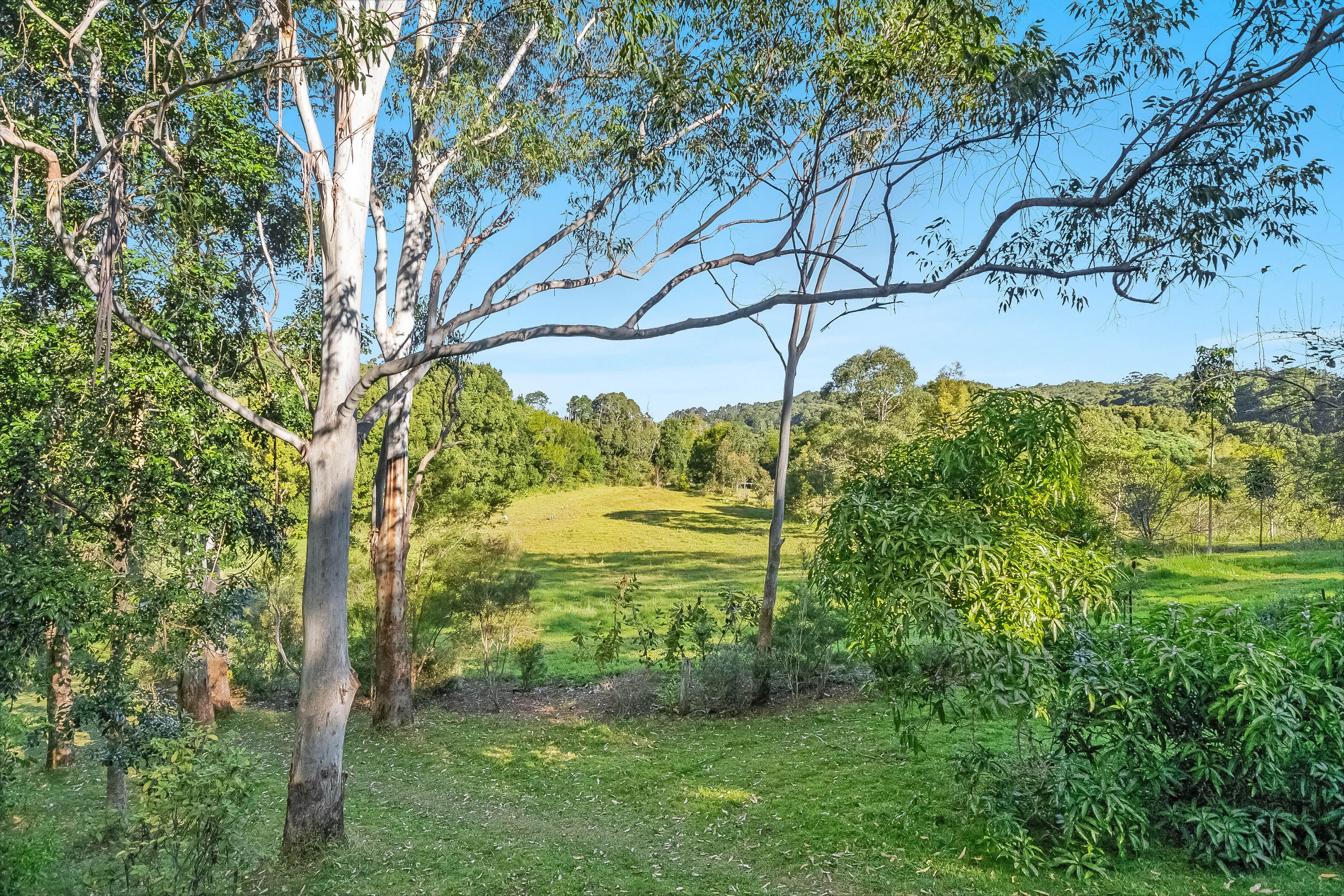 109A Mafeking Road, Goonengerry NSW 2482, Goonengerry - Thumbnail 4