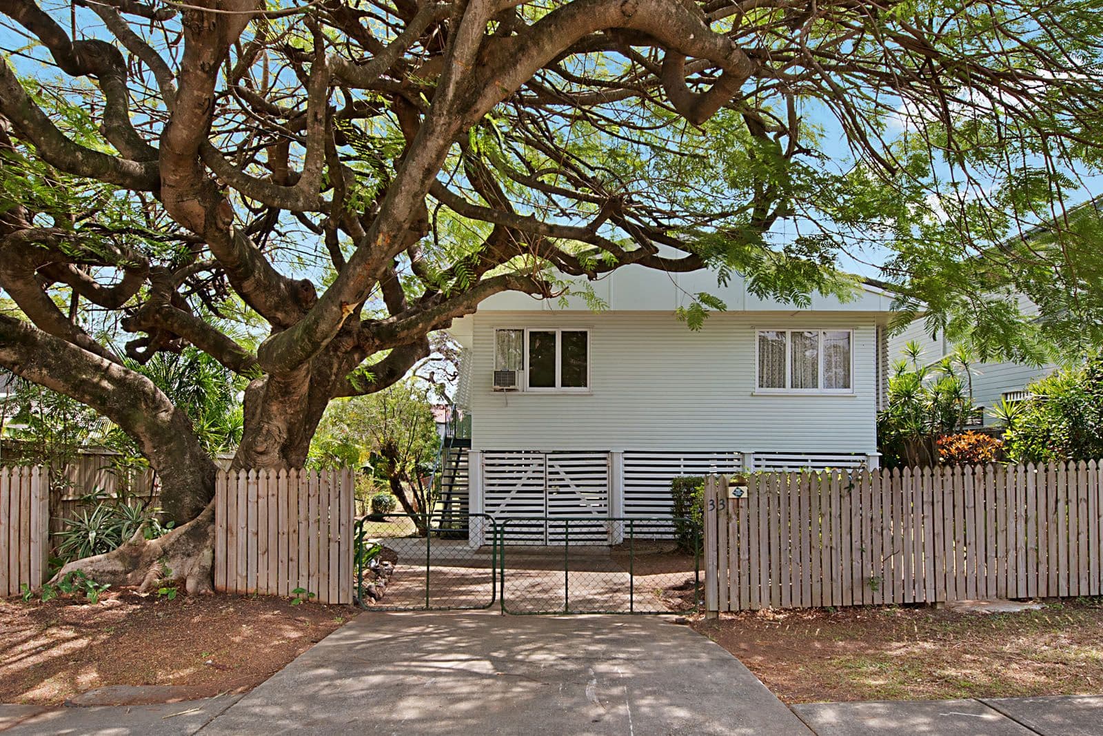 33 Orlando Road, Yeronga QLD 4104, Yeronga - Thumbnail 2