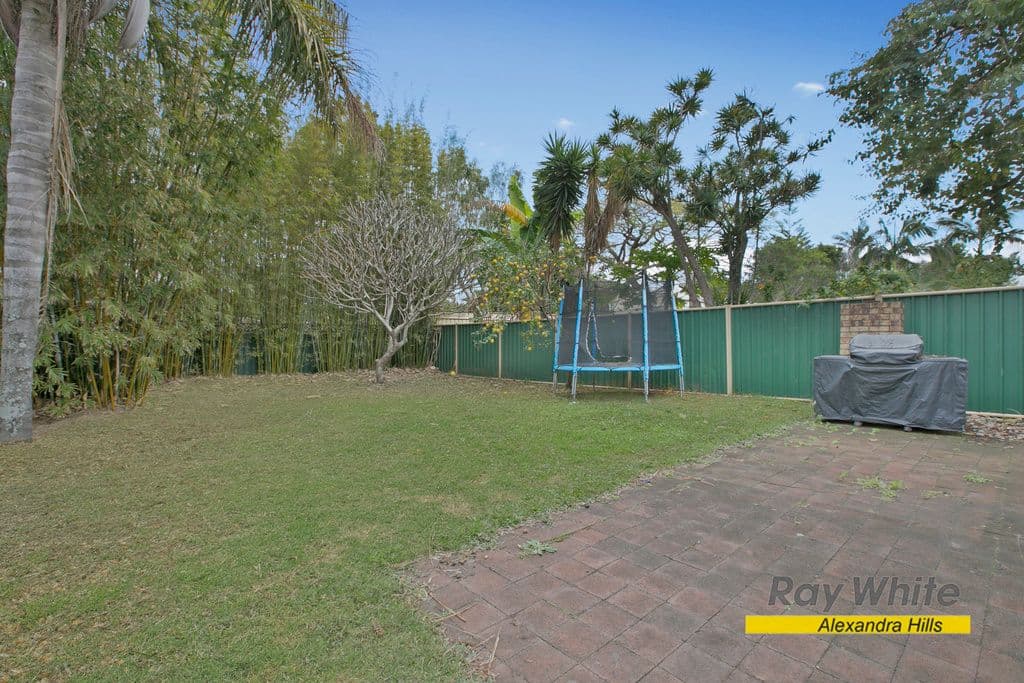 66 Thomas Street, BIRKDALE QLD 4159, Birkdale - Thumbnail 4