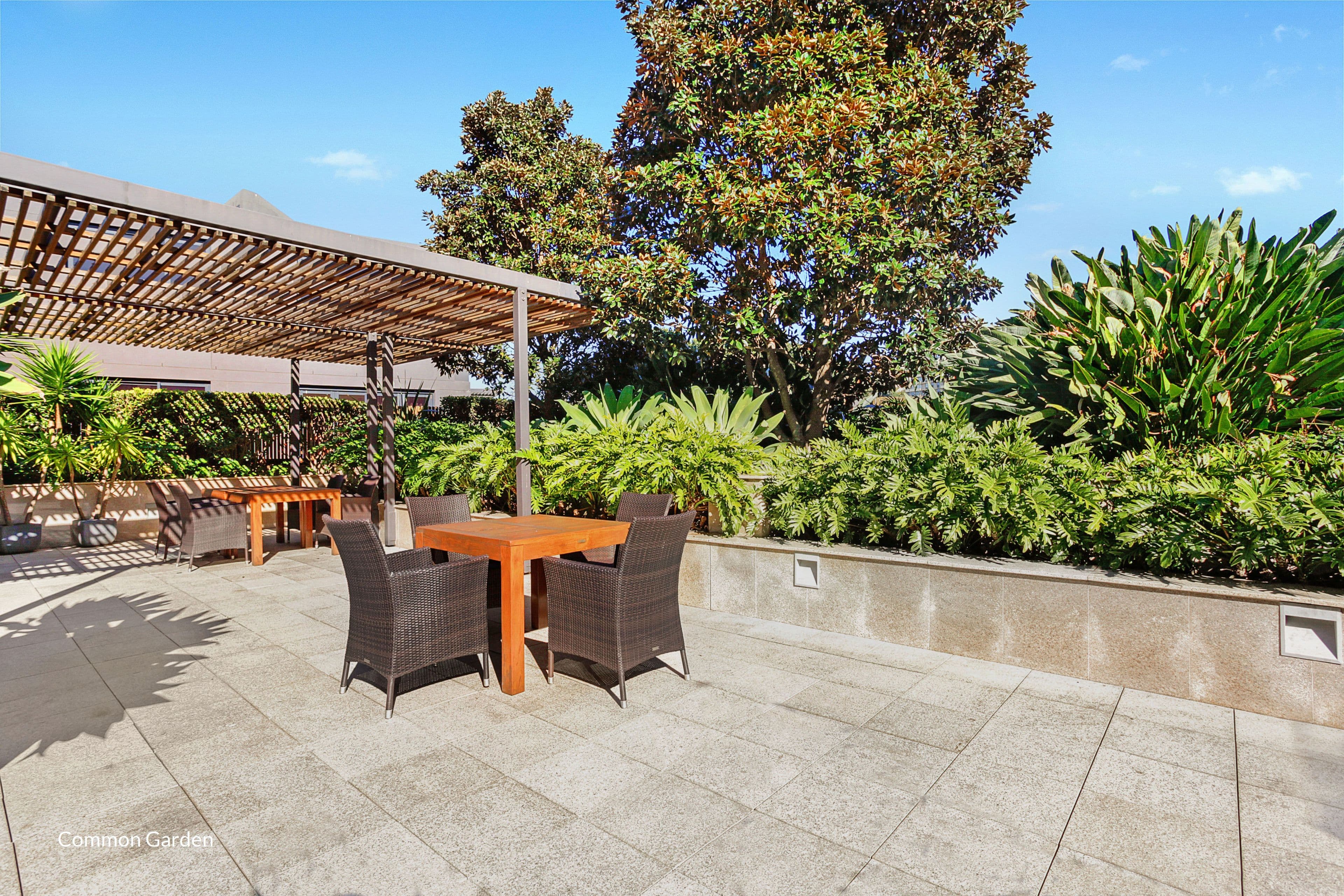 8 Knox Street, Double Bay NSW 2028, Double Bay - Thumbnail 4