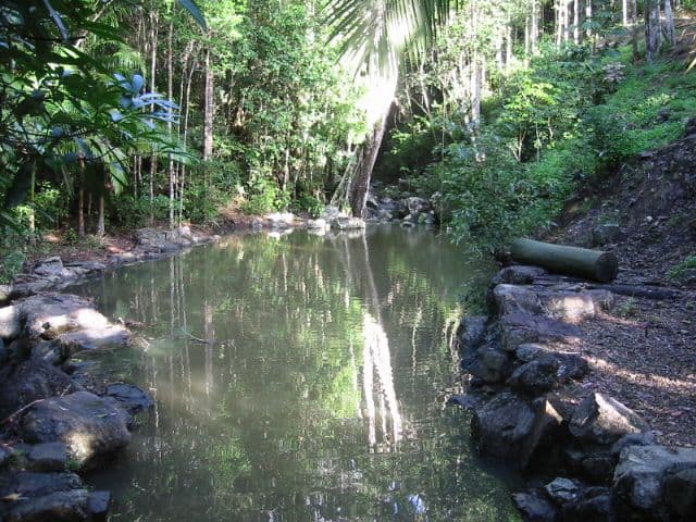 122a Orchid Road, CANNONVALE QLD 4802, Cannonvale - Thumbnail 2
