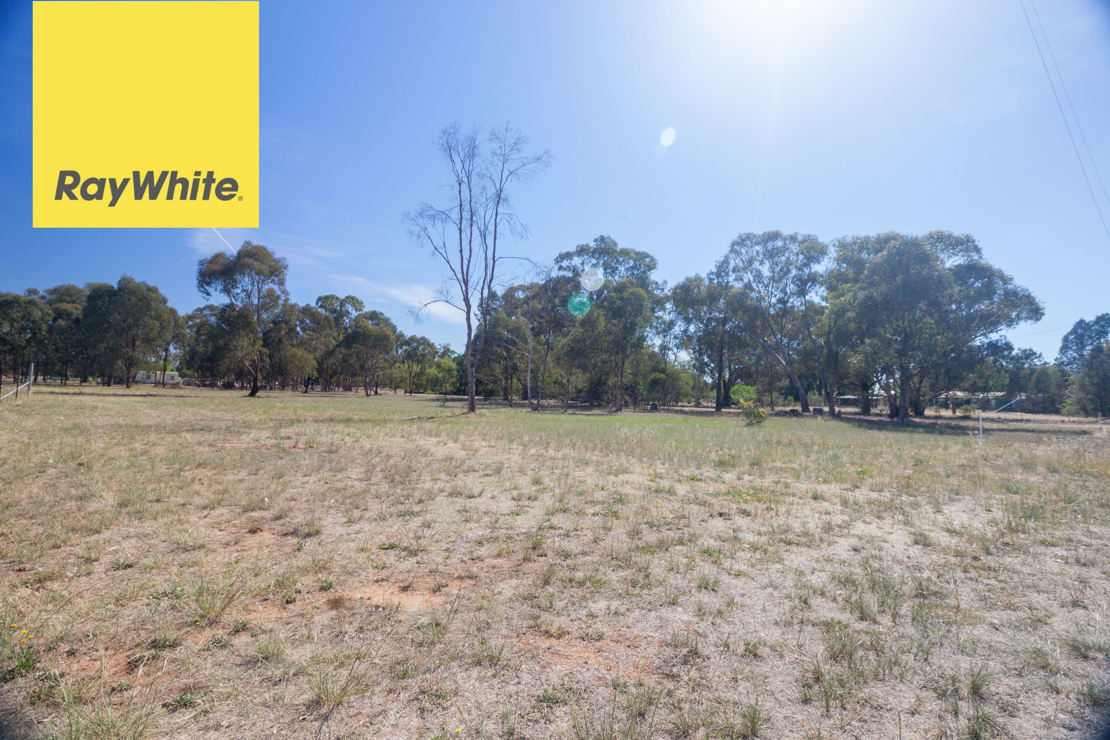 14 Recreation Street, Brocklesby NSW 2642, Brocklesby - Thumbnail 3