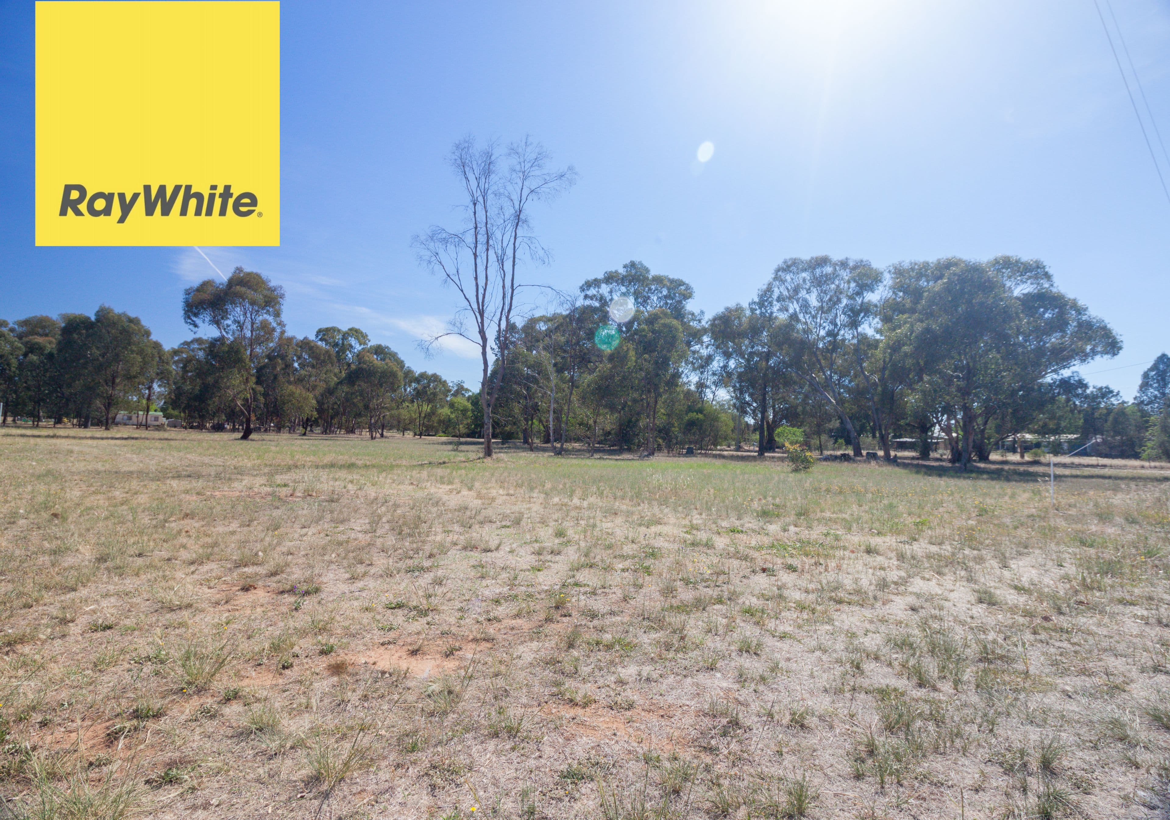 14 Recreation Street, Brocklesby NSW 2642, Brocklesby - Thumbnail 6