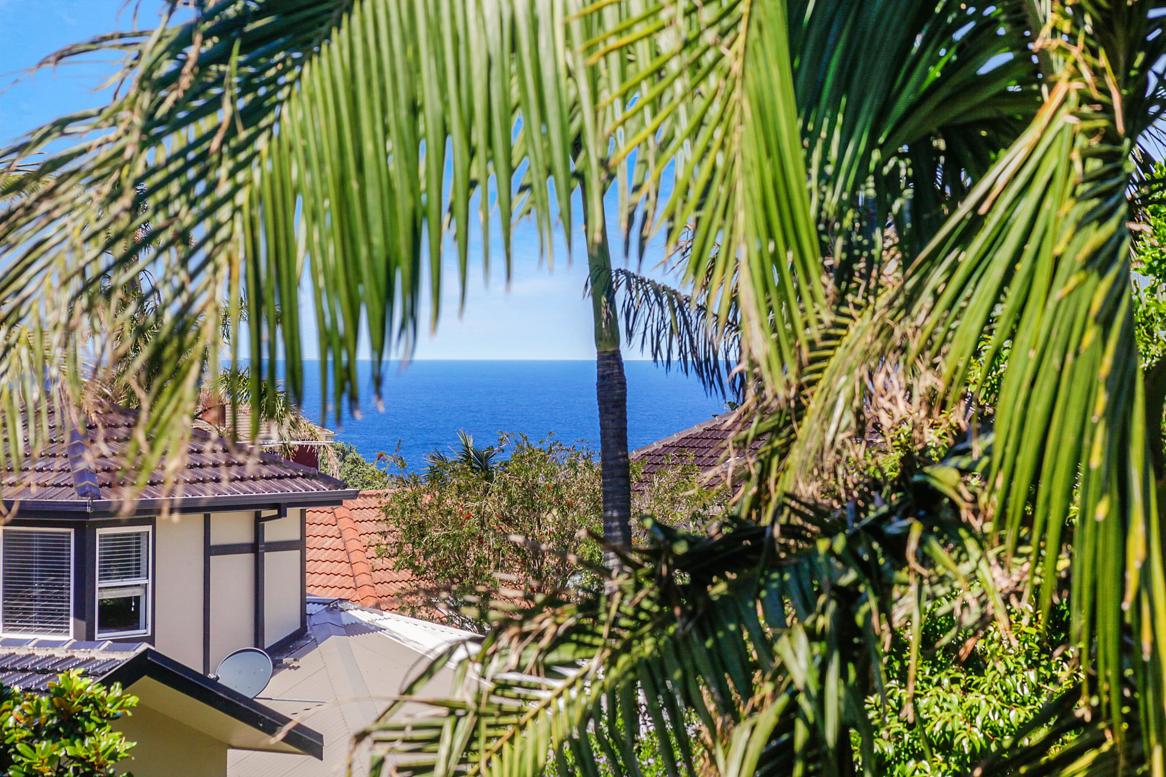 5 Tower Street, Vaucluse NSW 2030, Vaucluse - Thumbnail 5