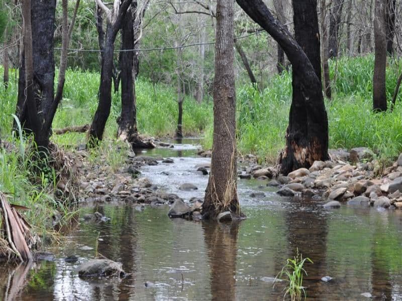 FRENCHVILLE QLD 4701, Frenchville - Thumbnail 6