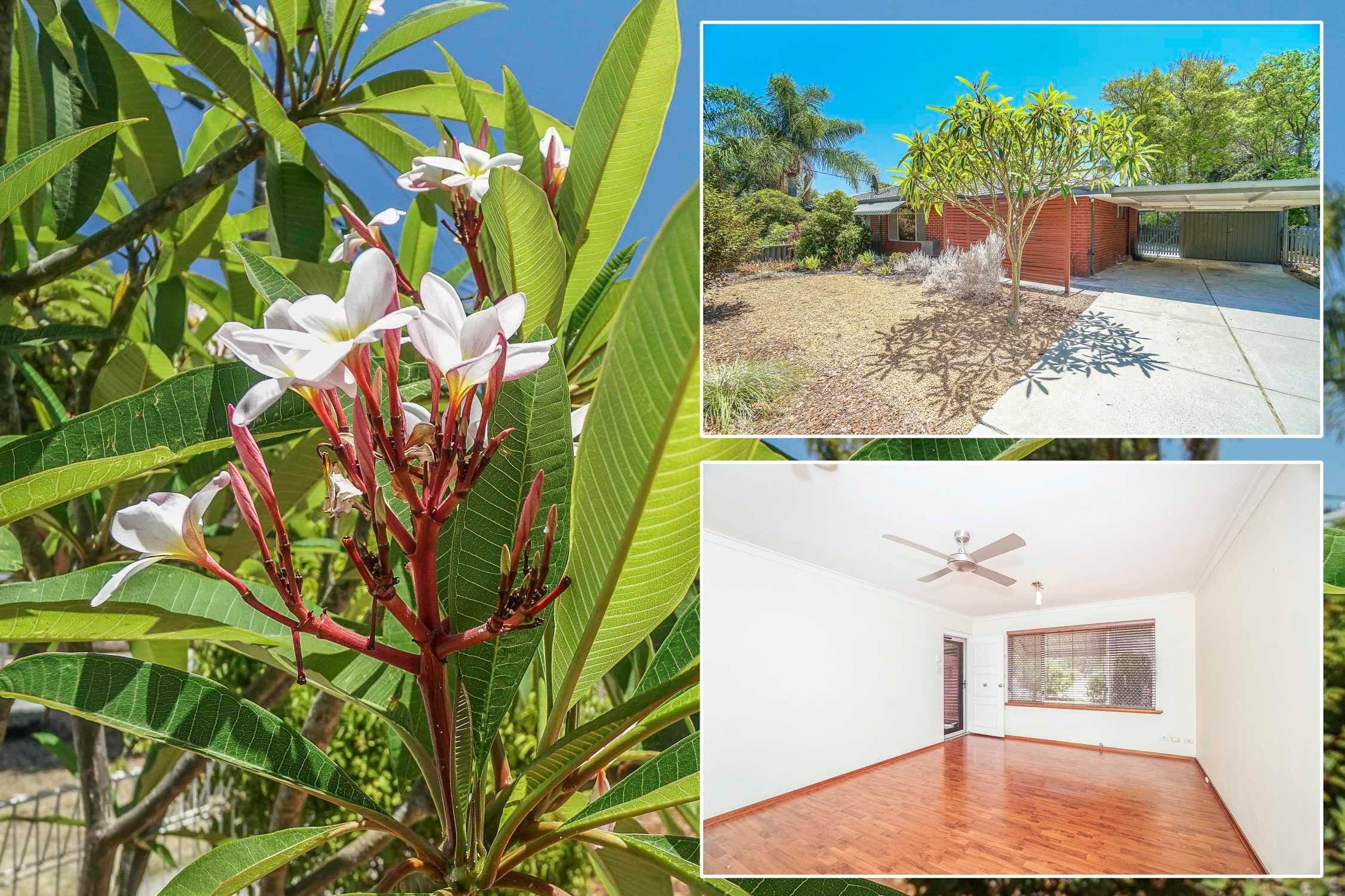 111A Epsom Avenue, Redcliffe WA 6104, Redcliffe - Image 1