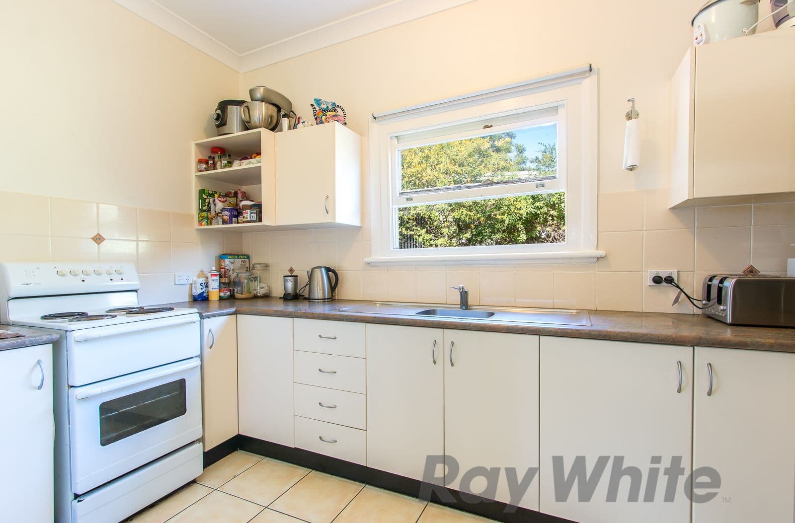 13 Notley Street, North Lambton - Thumbnail 2