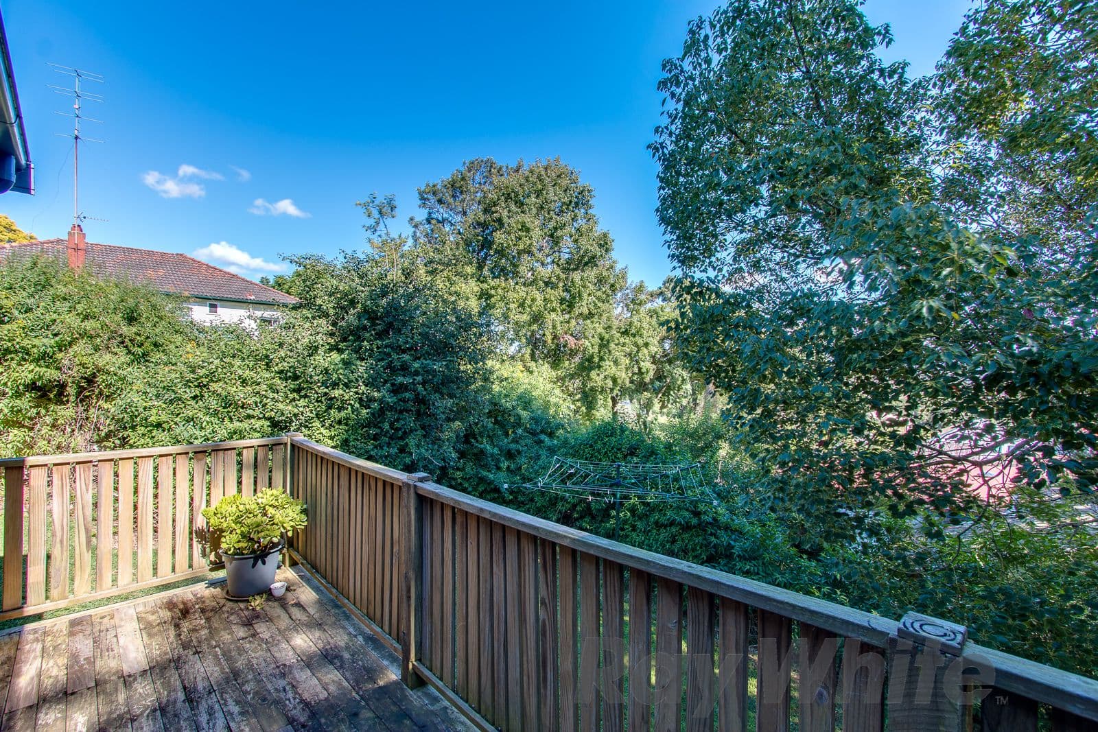 13 Notley Street, North Lambton - Thumbnail 5