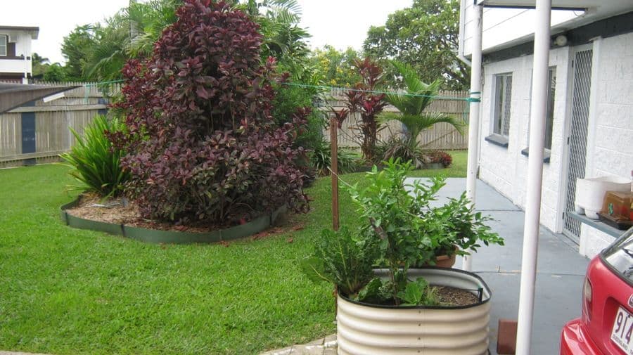53 Valencia Street, CRANBROOK QLD 4814, Cranbrook - Thumbnail 2