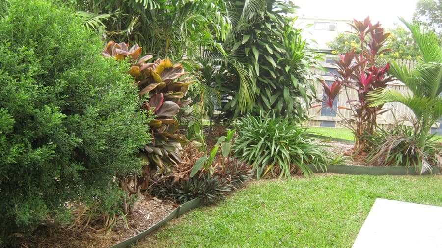 53 Valencia Street, CRANBROOK QLD 4814, Cranbrook - Thumbnail 4