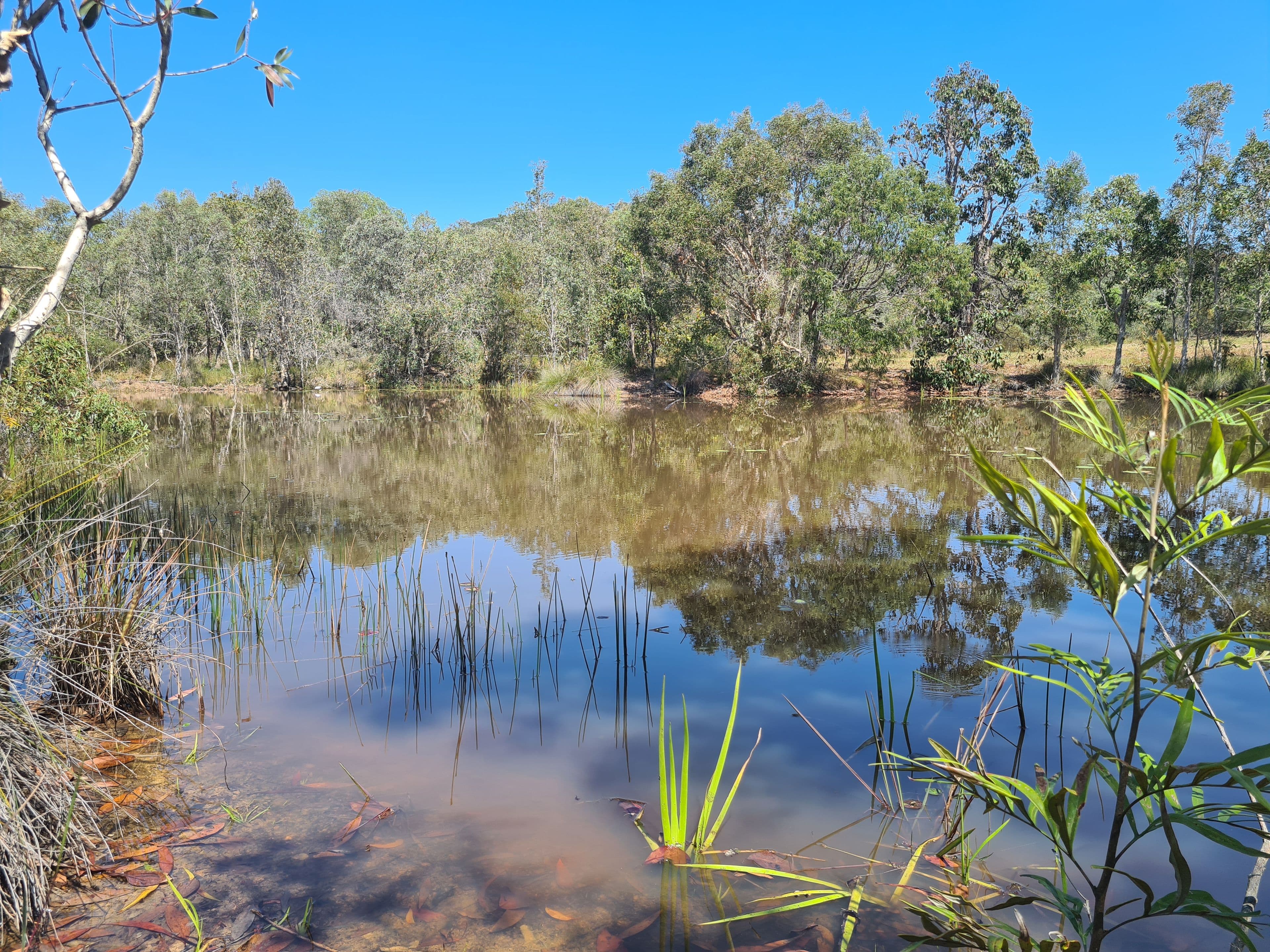260 Anderson Way, Agnes Water QLD 4677, Agnes Water - Thumbnail 6