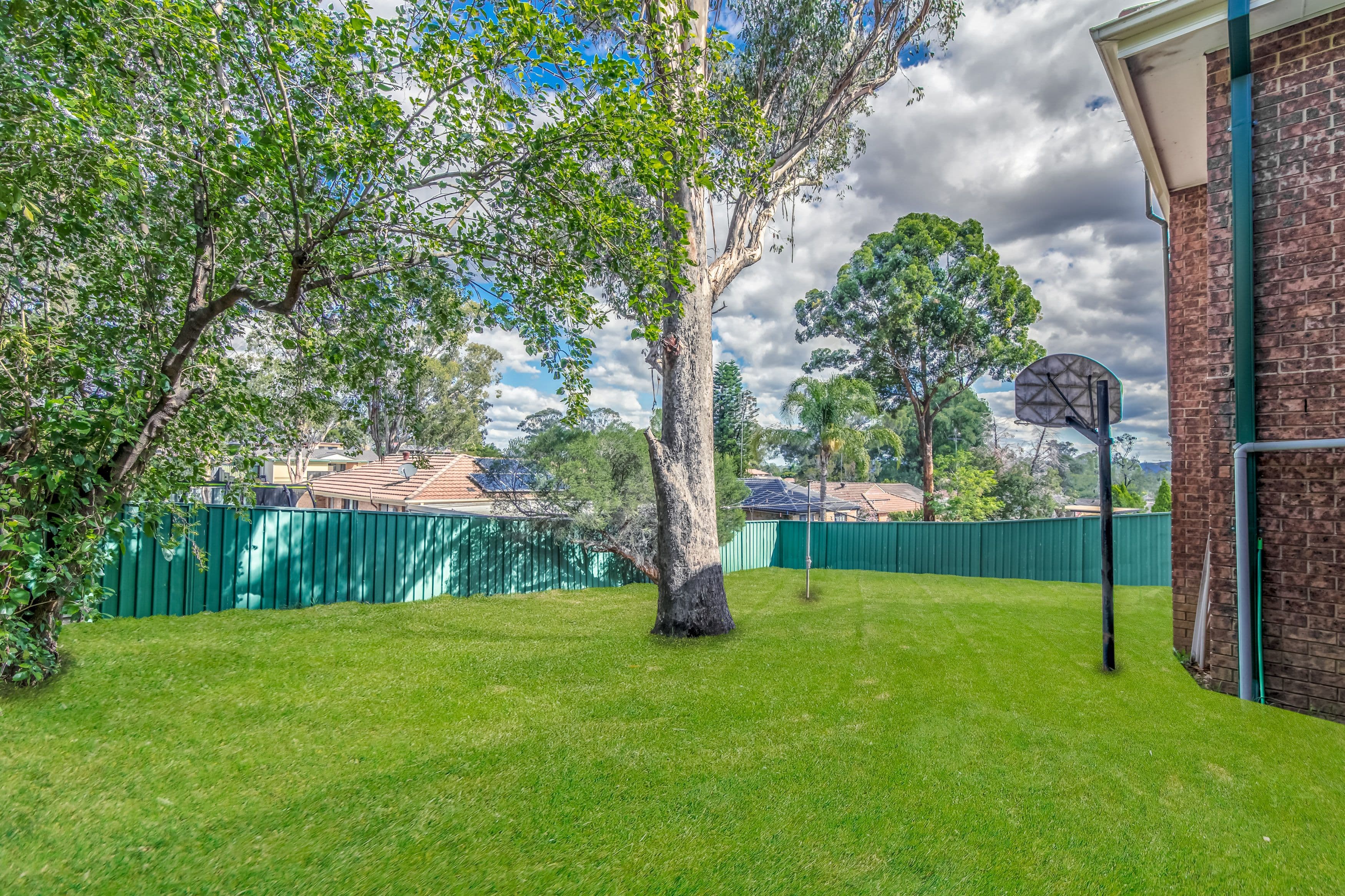 77 Farmview Drive, Cranebrook - Thumbnail 6