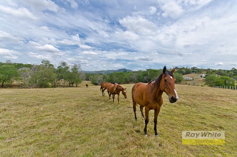 CLOSEBURN QLD 4520, Closeburn - Thumbnail 5