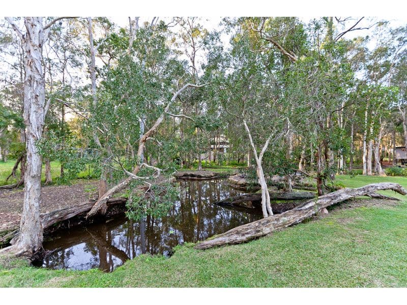 21 Pillinger Road, BURBANK QLD 4156, Burbank - Thumbnail 6
