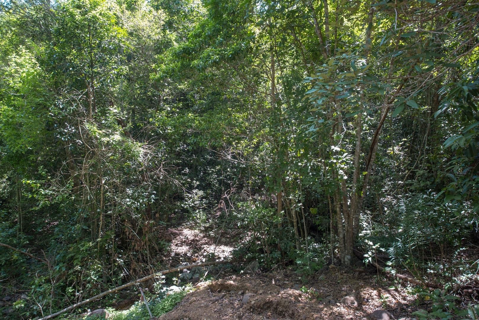 Lot 22 Rainforest Close, Sugarloaf QLD 4800, Sugarloaf - Thumbnail 2