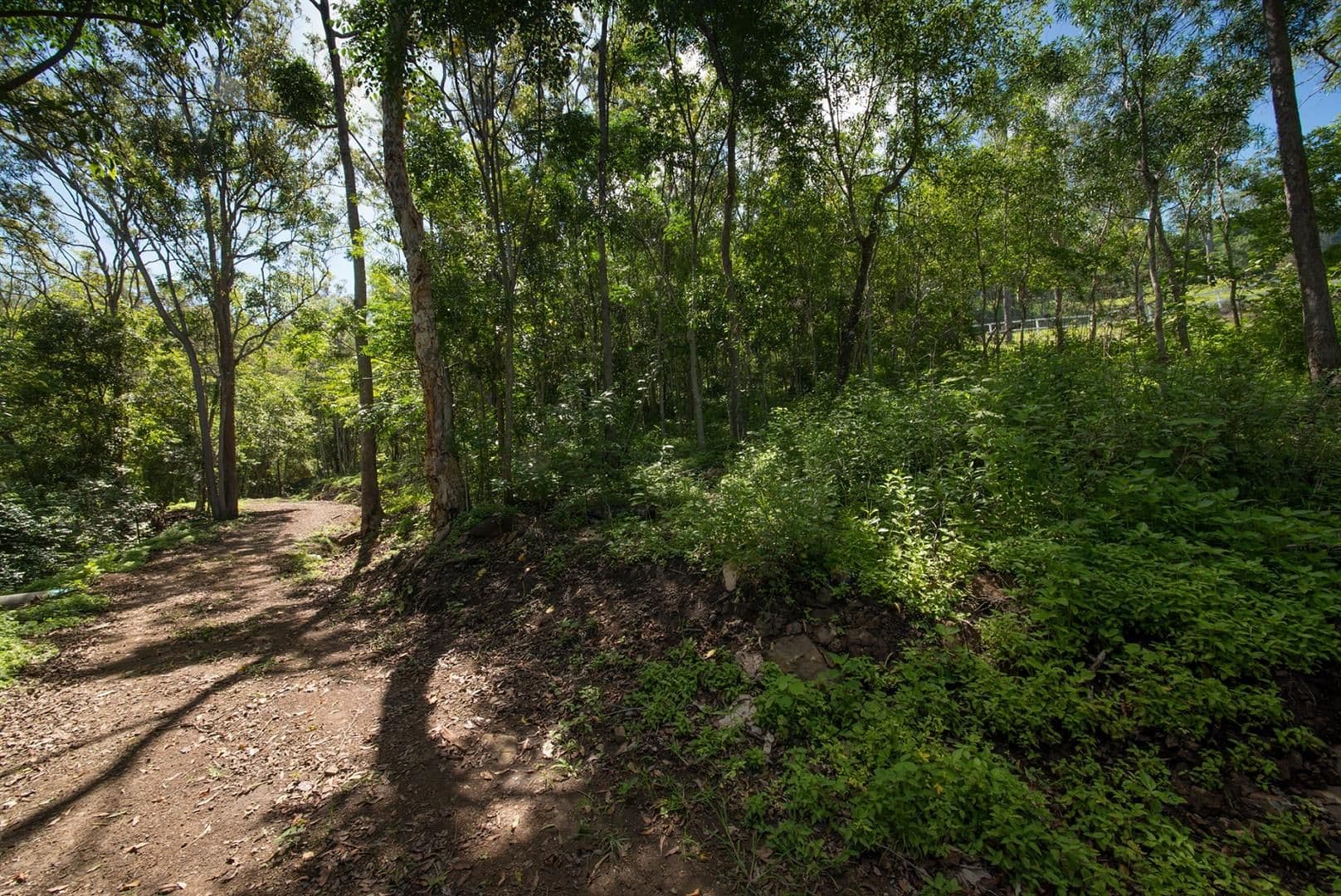Lot 22 Rainforest Close, Sugarloaf QLD 4800, Sugarloaf - Thumbnail 5