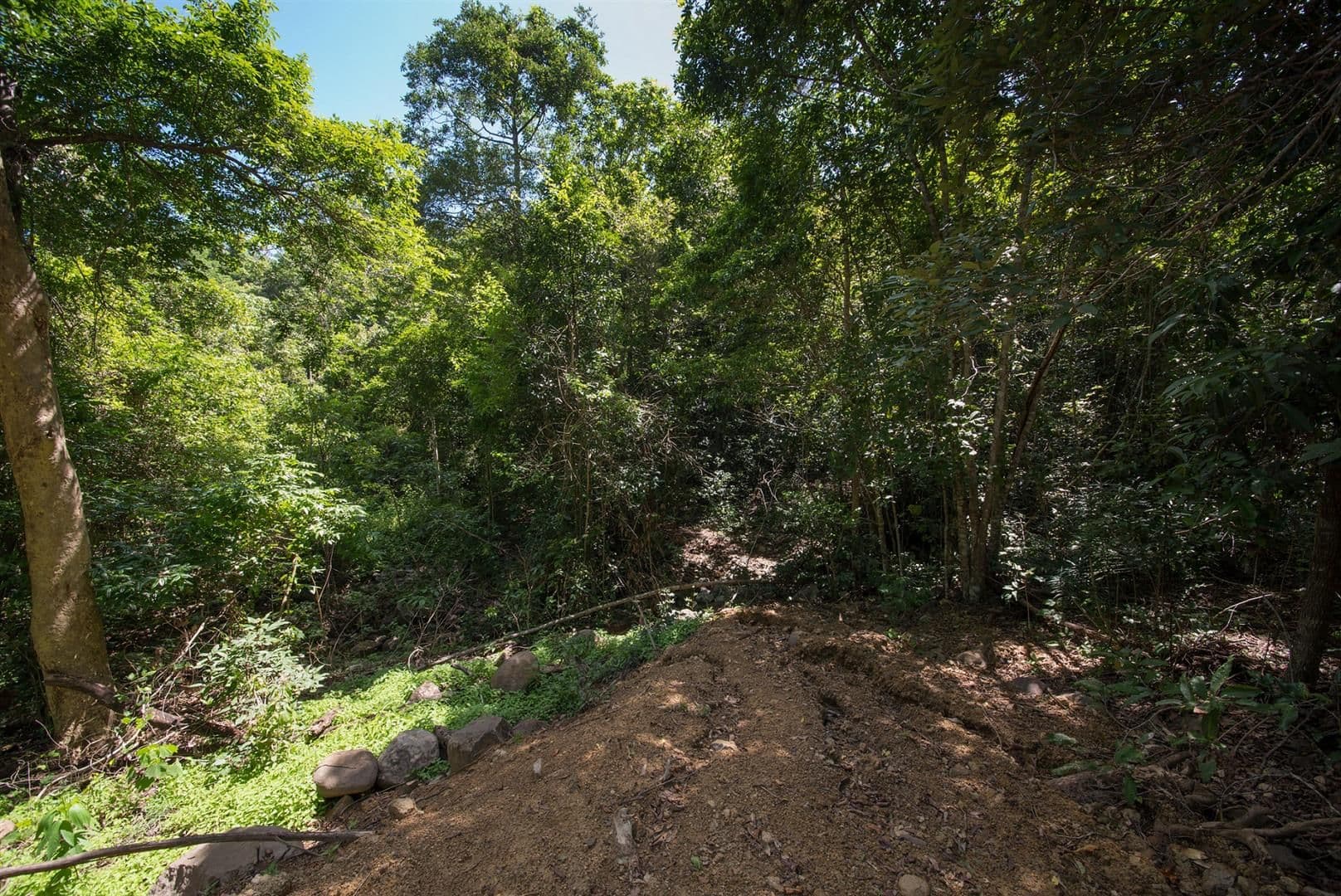 Lot 22 Rainforest Close, Sugarloaf QLD 4800, Sugarloaf - Thumbnail 7