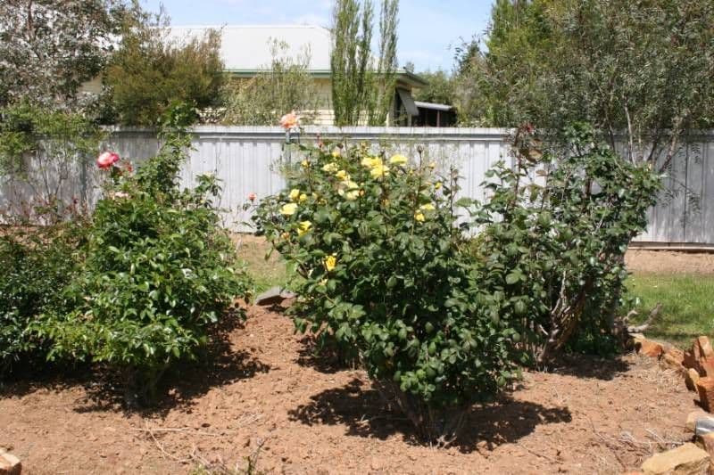 130 Hervey Street, ELMORE VIC 3558, Elmore - Thumbnail 2
