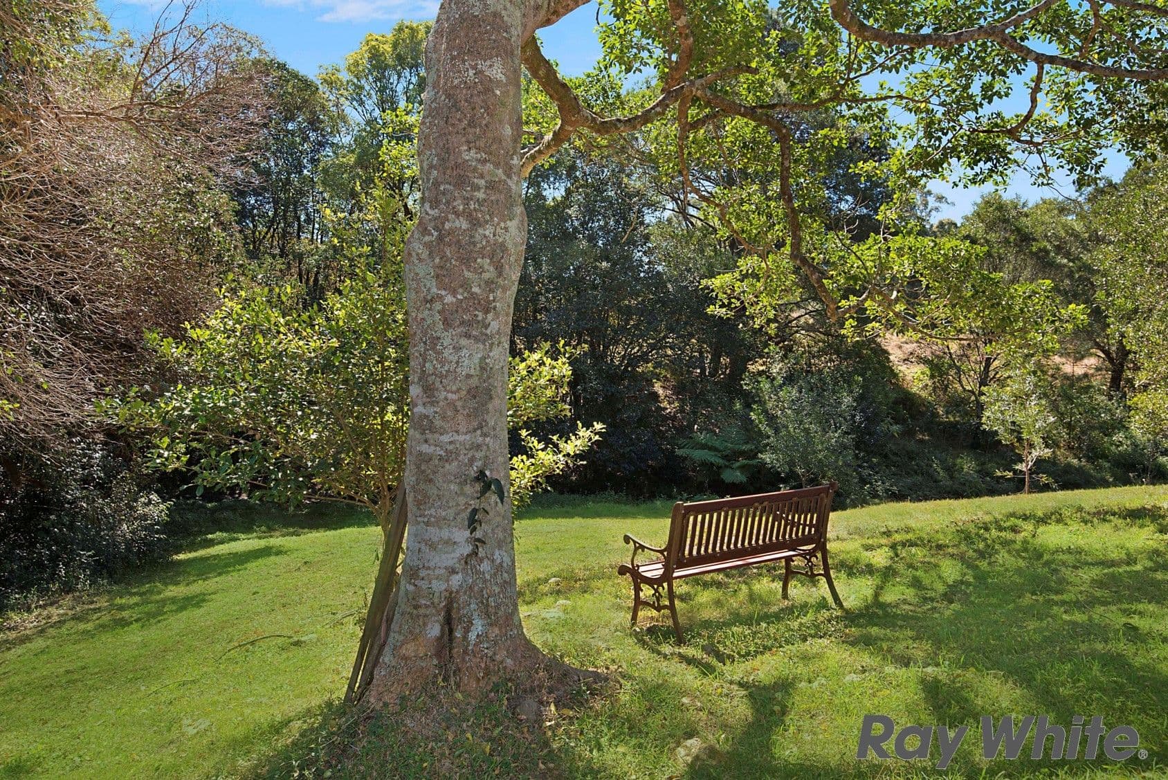 116 Ruddle Drive, Reesville QLD 4552, Reesville - Thumbnail 2