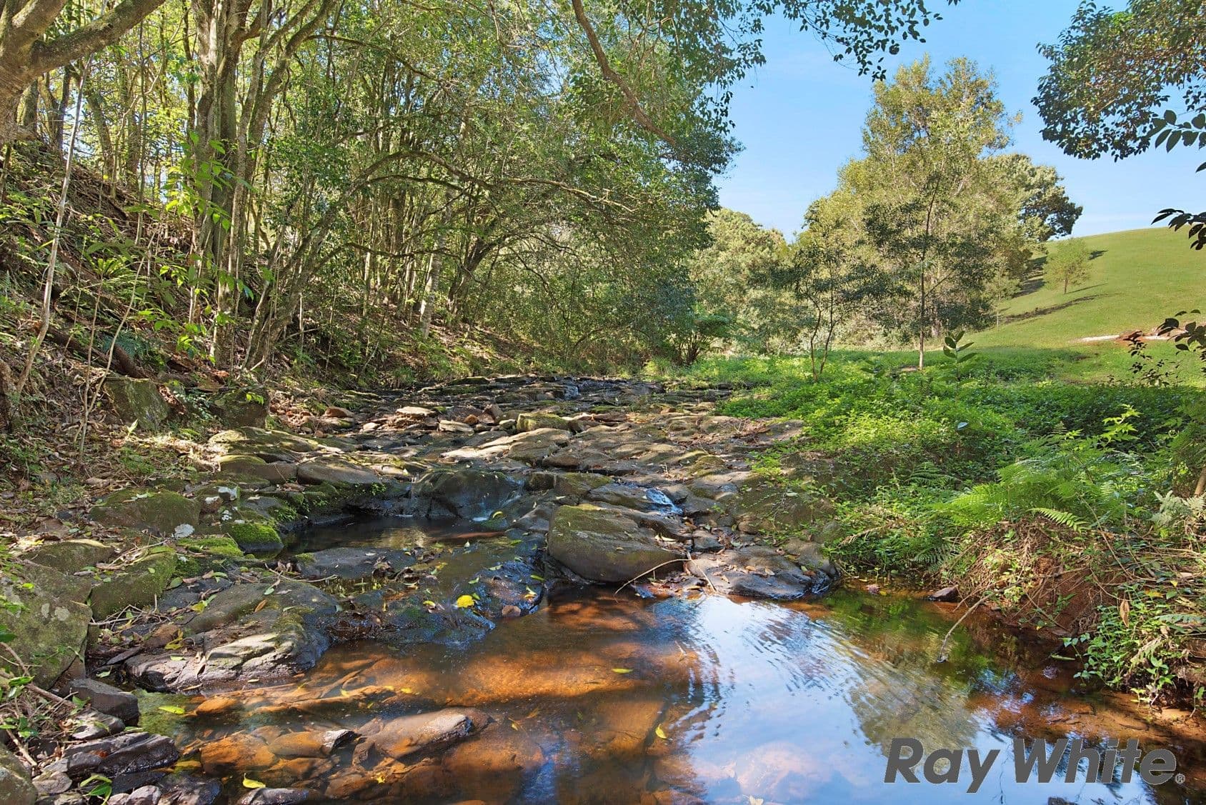116 Ruddle Drive, Reesville QLD 4552, Reesville - Thumbnail 3