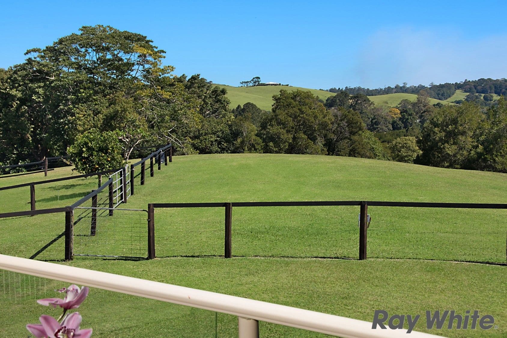 116 Ruddle Drive, Reesville QLD 4552, Reesville - Thumbnail 8