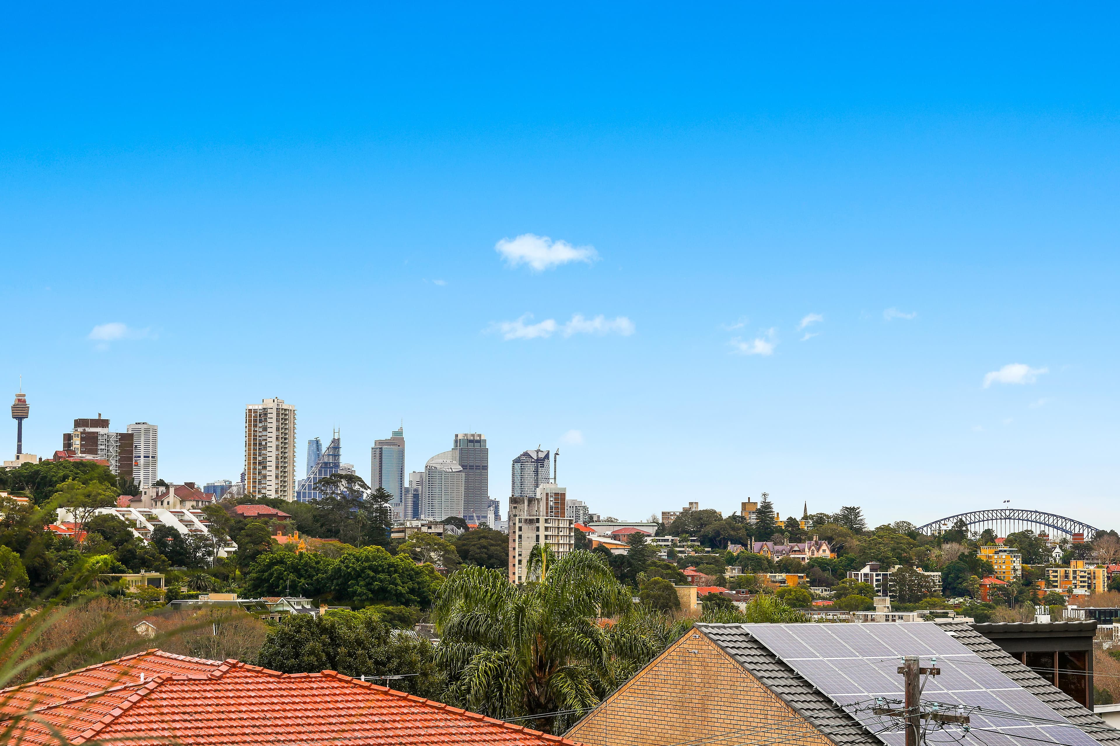 8 Suttie Road, Bellevue Hill NSW 2023, Bellevue Hill - Thumbnail 3