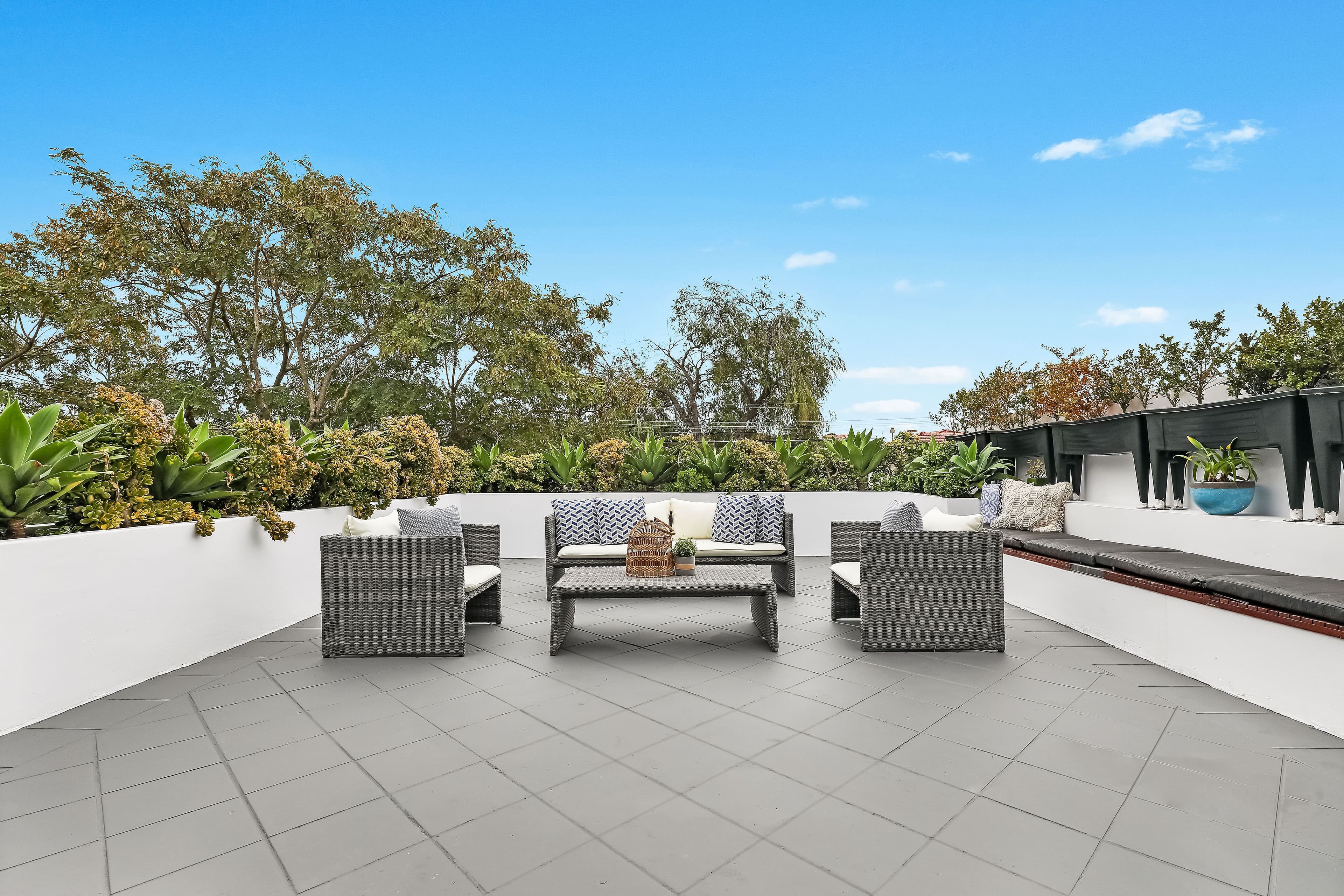 8 Suttie Road, Bellevue Hill NSW 2023, Bellevue Hill - Thumbnail 8