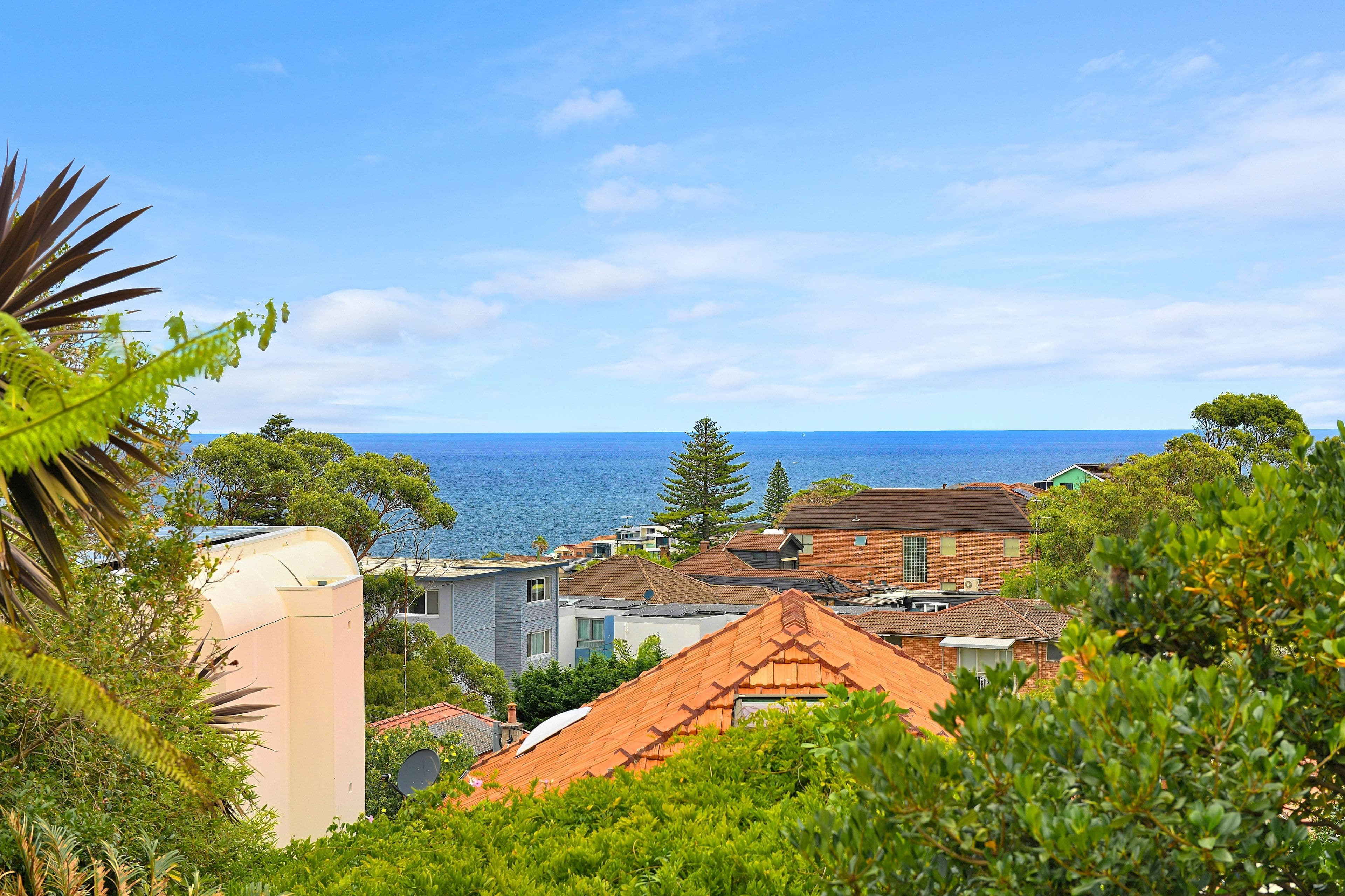 16 Napper Street, South Coogee NSW 2034, South Coogee - Thumbnail 8