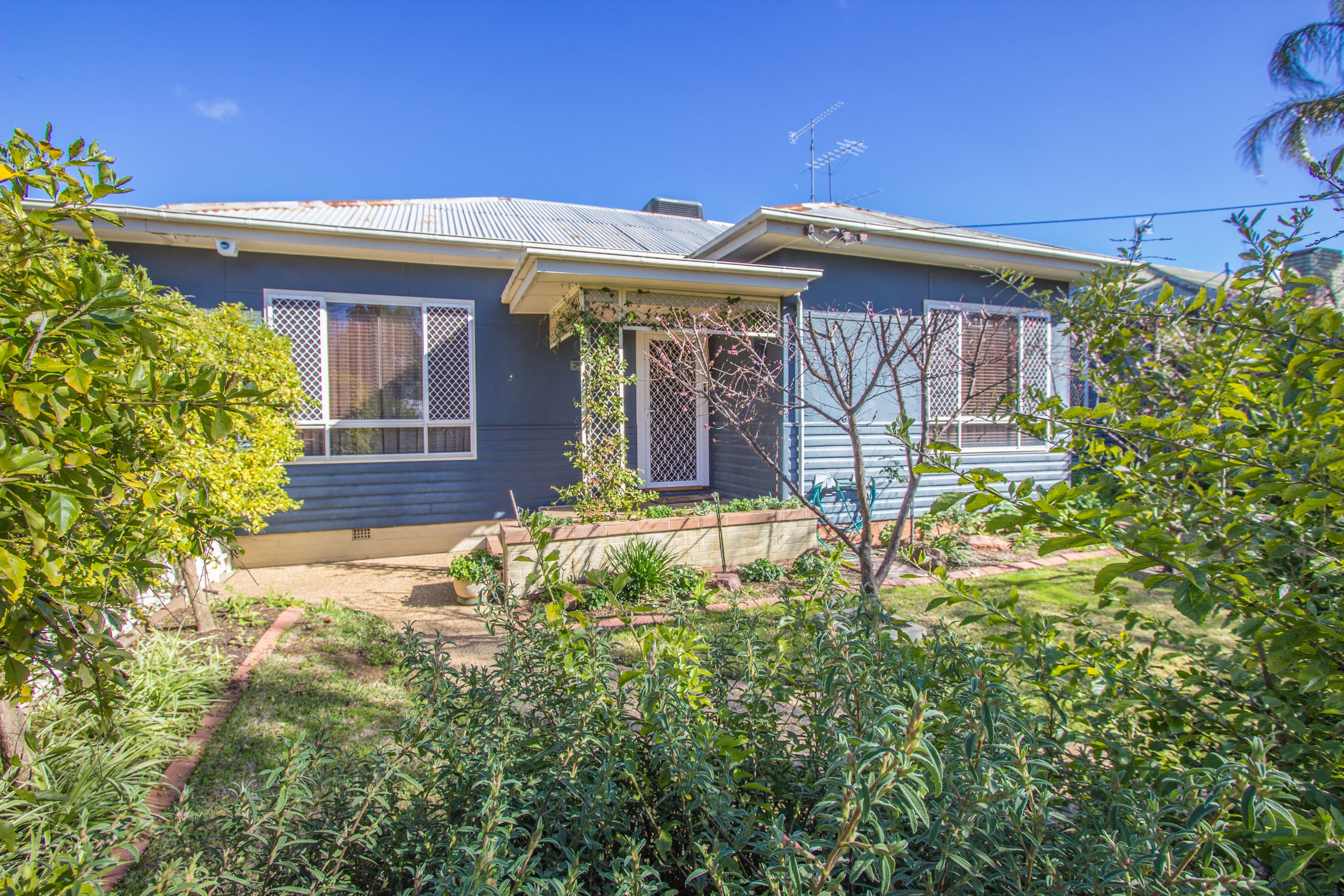 14 May Street, Narrandera - Image 1