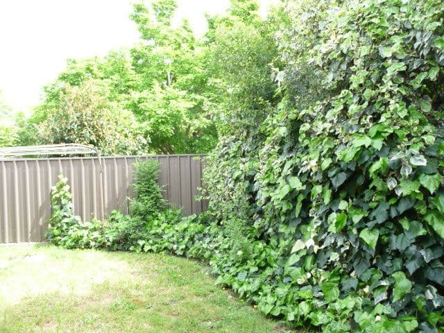 60 Alcock Road, Elimbah, QLD, 4516, Elimbah - Thumbnail 7