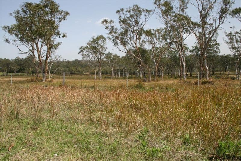 3 Jamerin Way, MORISSET NSW 2264, Morisset - Image 1
