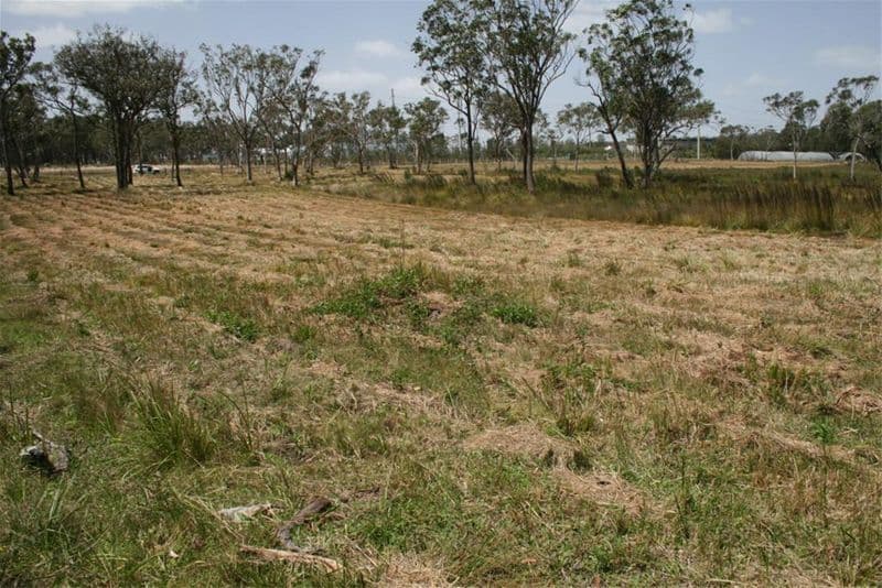 3 Jamerin Way, MORISSET NSW 2264, Morisset - Thumbnail 4