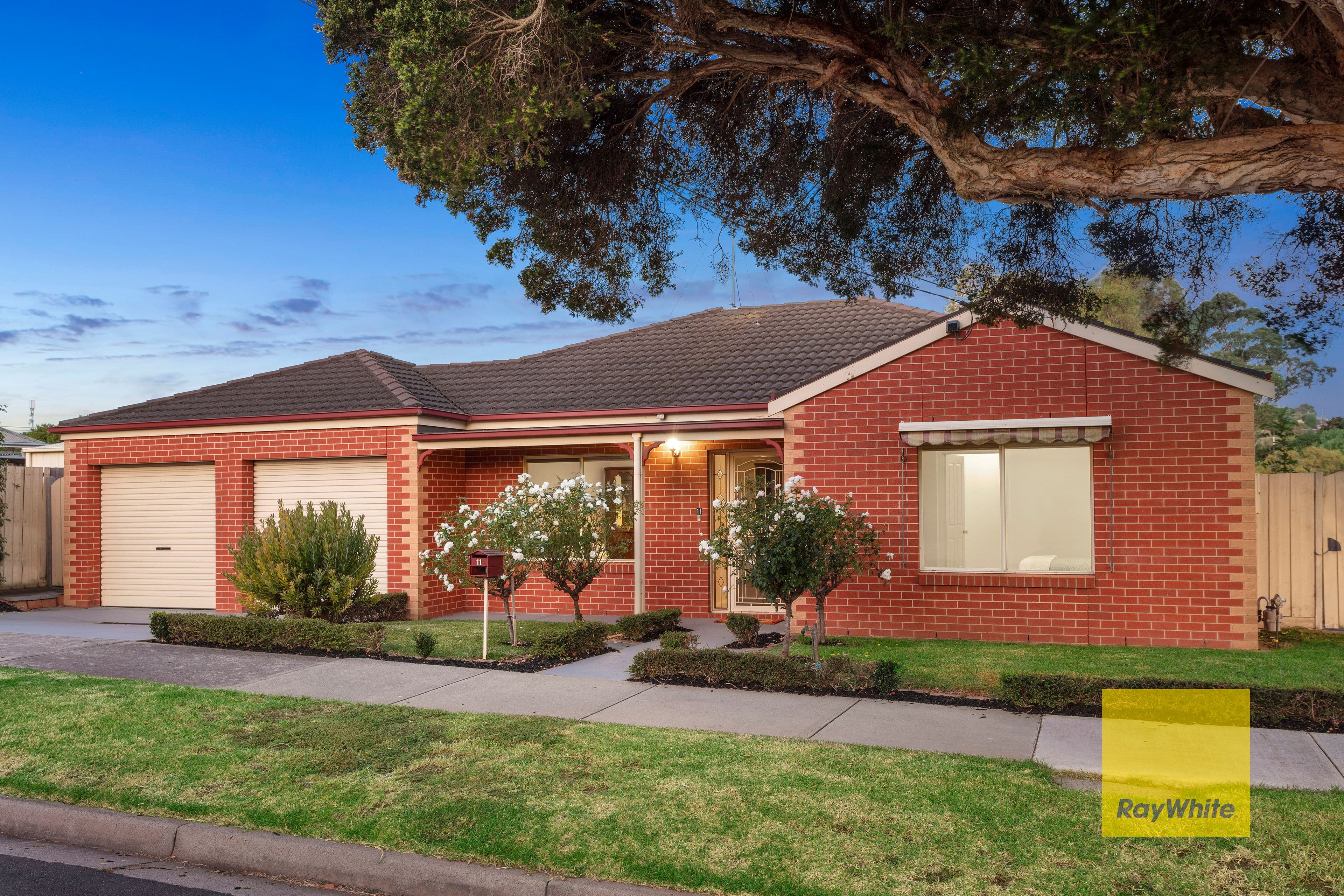 11 Larcombe Street, Highton VIC 3216, Highton - Image 1