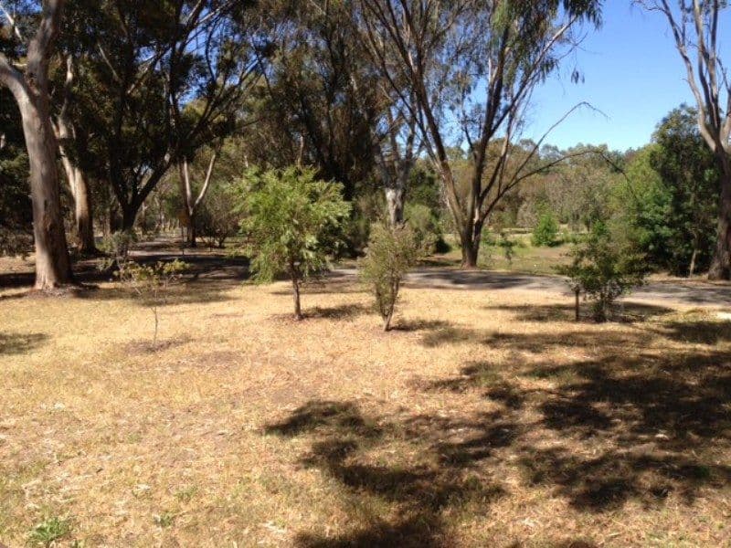 7 Ash Drive, NURIOOTPA SA 5355, Nuriootpa - Thumbnail 2